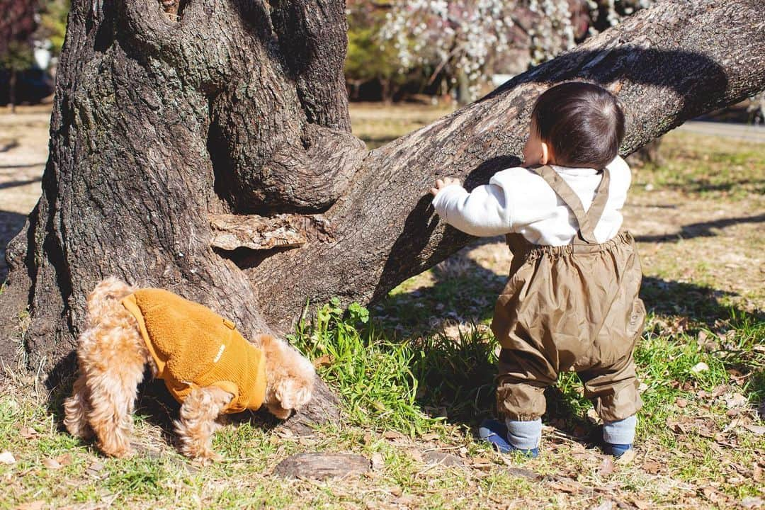 薮田和樹さんのインスタグラム写真 - (薮田和樹Instagram)「. 宝☺️ あっという間に春ですねー🌸⚾️ 今シーズンも頑張ります✊」3月19日 17時55分 - kazuki_yabuta