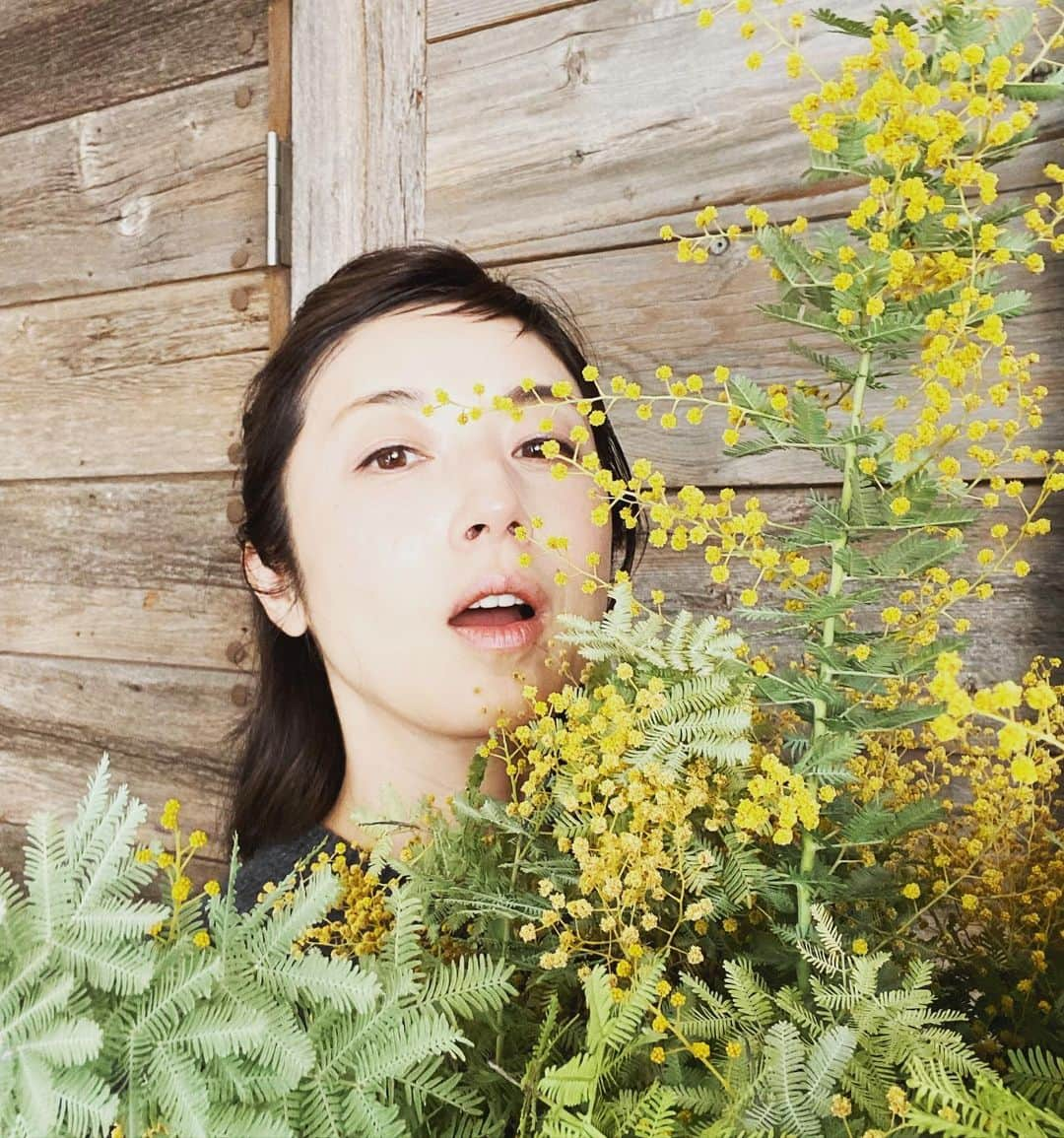 高岡早紀 さんのインスタグラム写真 - (高岡早紀 Instagram)「ミモザの花が散る前に剪定。 何気なくユーカリと一緒に置くだけでもこんなに可愛い❤︎  #早紀おウチガーデニング」3月19日 18時17分 - saki_takaoka