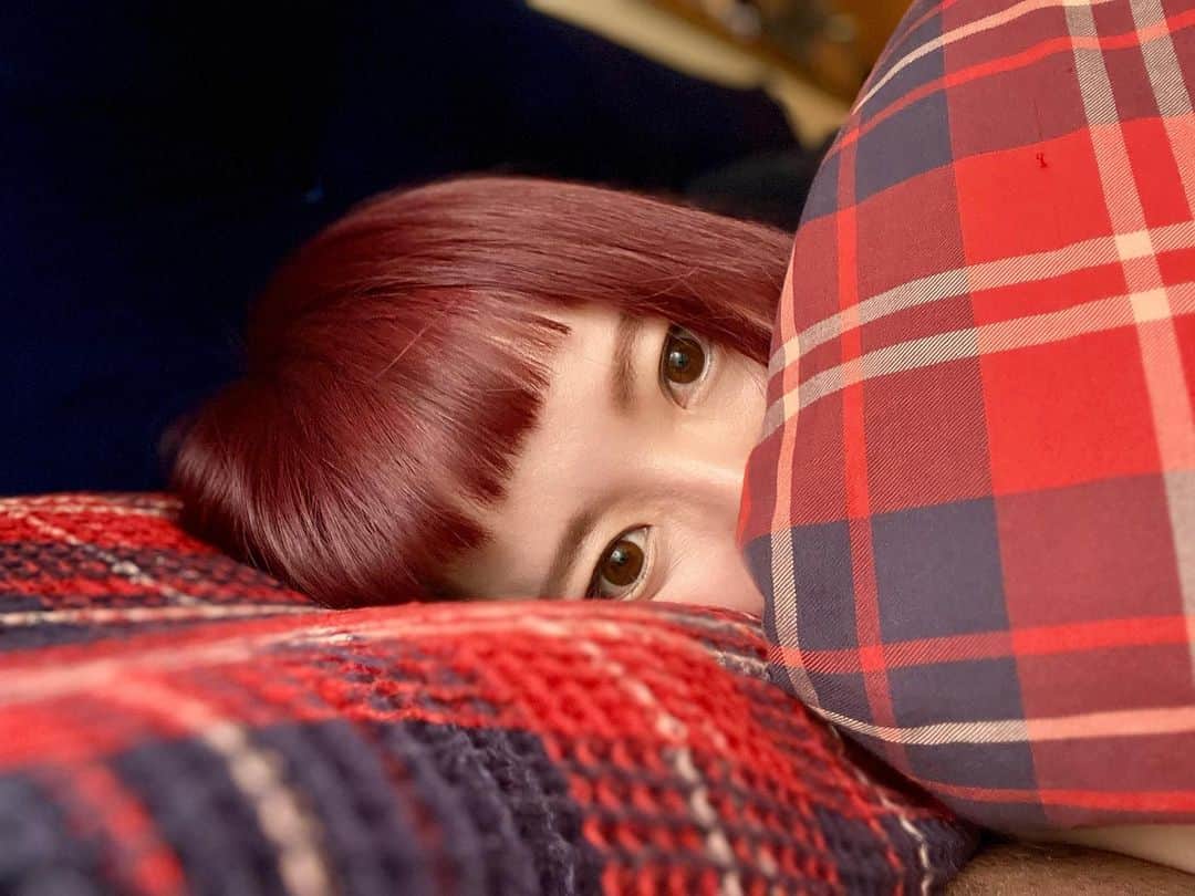 小鳥遊しほのインスタグラム：「ゴロゴロしてたら、うーちゃんきた、きたきた、きたきたきたきたぁぁ！…いなくなったぁぁぁ。の図🐈‍⬛🐈‍⬛  #日曜日 #のんびり うどんとおそばアカ @oudon_and_osoba」
