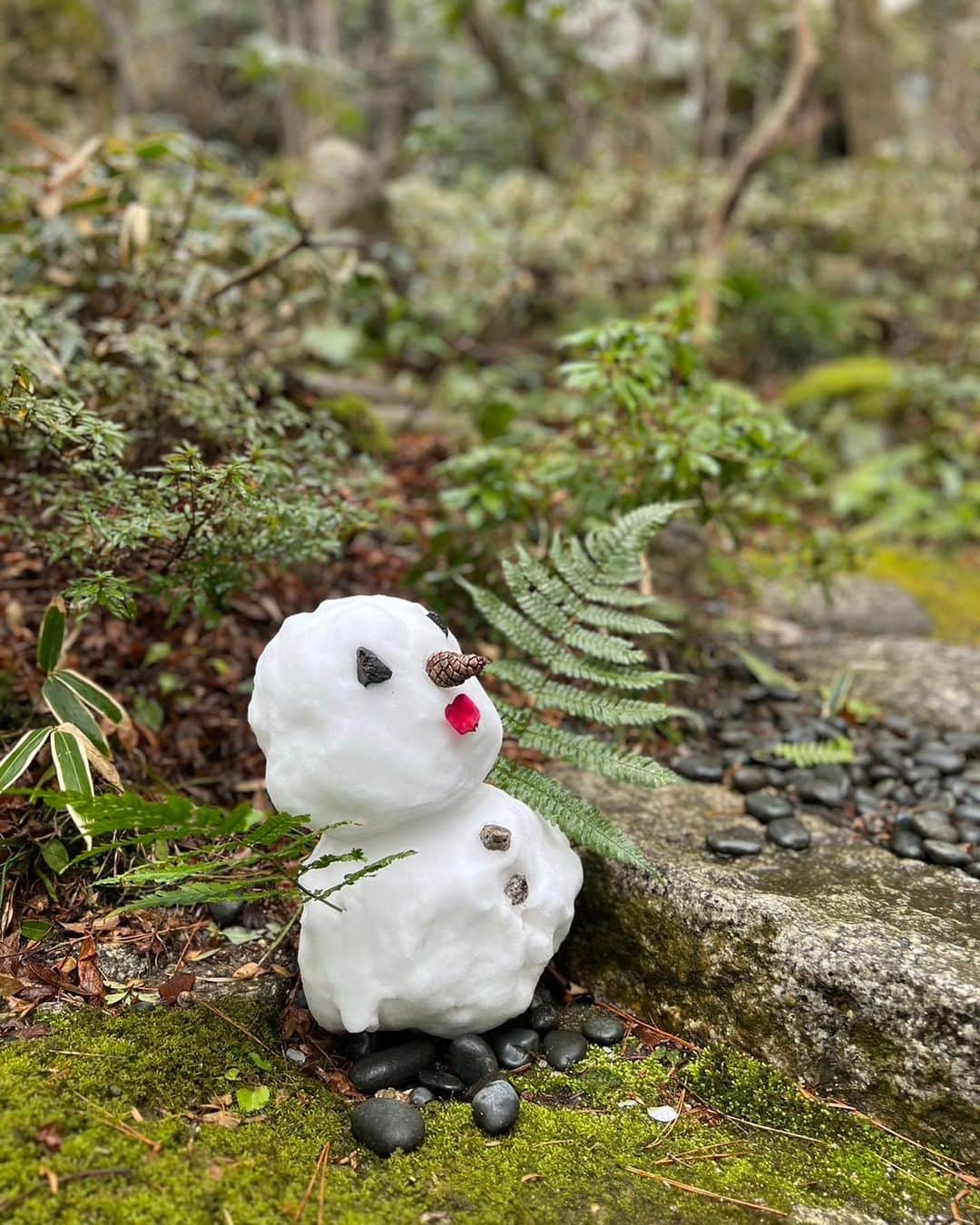 湯の山温泉 寿亭|Ryokan KOTOBUKITEIのインスタグラム：「・ ご来館されるお客様をお出迎えしてくれる雪だるまさん⛄️♡ ・ 本日、ロープウェイに行かれたお客様よりほっこりしたプレゼントをいただきました…🥺✨ ・ 現在、寿亭庭園には雪は全く残っておりませんが、山頂から雪だるまを作って持って帰ってきてくれたのです🥹 （ロープウェイのゴンドラは片道12分間かかります…🚠） ・ O様ありがとうございました😊 ・ #旅館寿亭 #寿亭 #湯の山温泉」