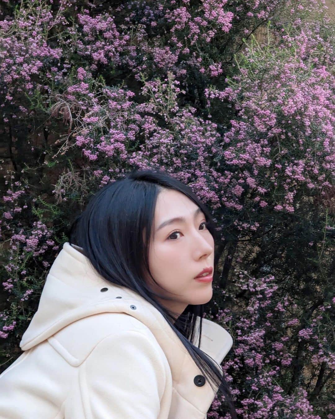 貴愛kwiae Officialのインスタグラム：「道端に咲いてたピンクの花🥺 三寒四温で春に近づいていくね。  2.17 live ありがとうございました🤍🤍🤍 新しい出会いも嬉しかったな🫶🏻🫶🏻🫶🏻 次は4.28に決まってます🥰ちょっと先だけど3マンライブだった？はずなので 沢山歌うから来てね🤩🤩🤩  * * * #live #flower #studio  #like #music #photo」
