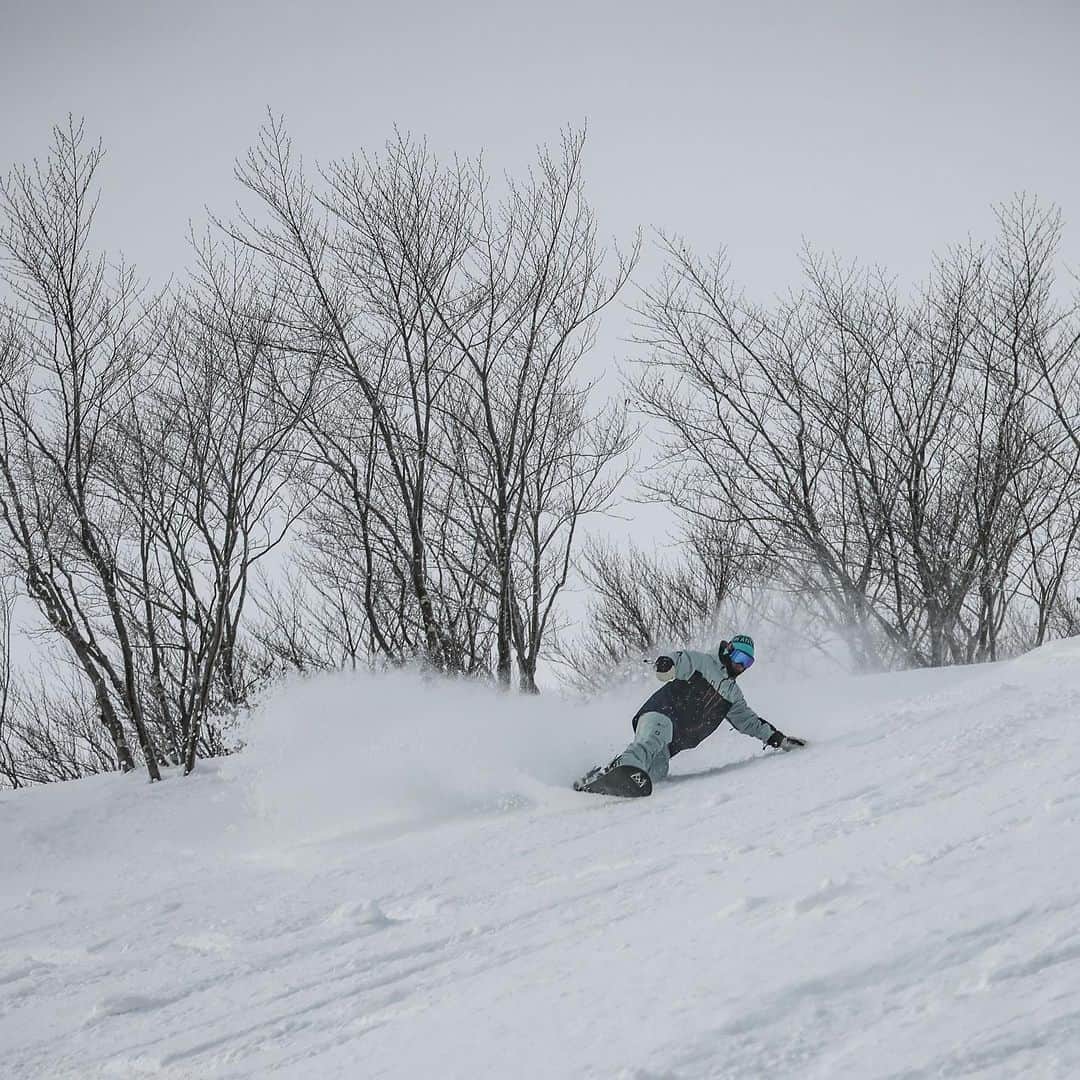 駿河太郎さんのインスタグラム写真 - (駿河太郎Instagram)「前日の吹雪、視界不良とは別世界 昨日は最高のメンツで 最高のアライリゾートを満喫‼️  photo by @cocco_takeuchi  いつも有難う😭  そしてご一緒した皆様 ありがとうございました😊」2月23日 22時45分 - tarosleepydog