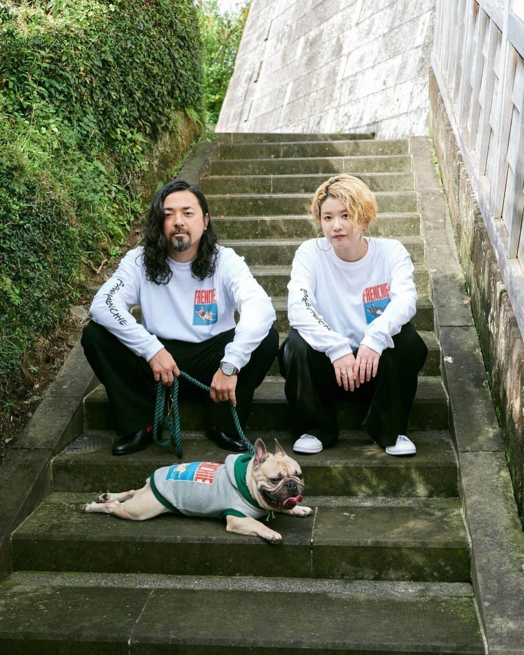 French Bulldog Lifeのインスタグラム