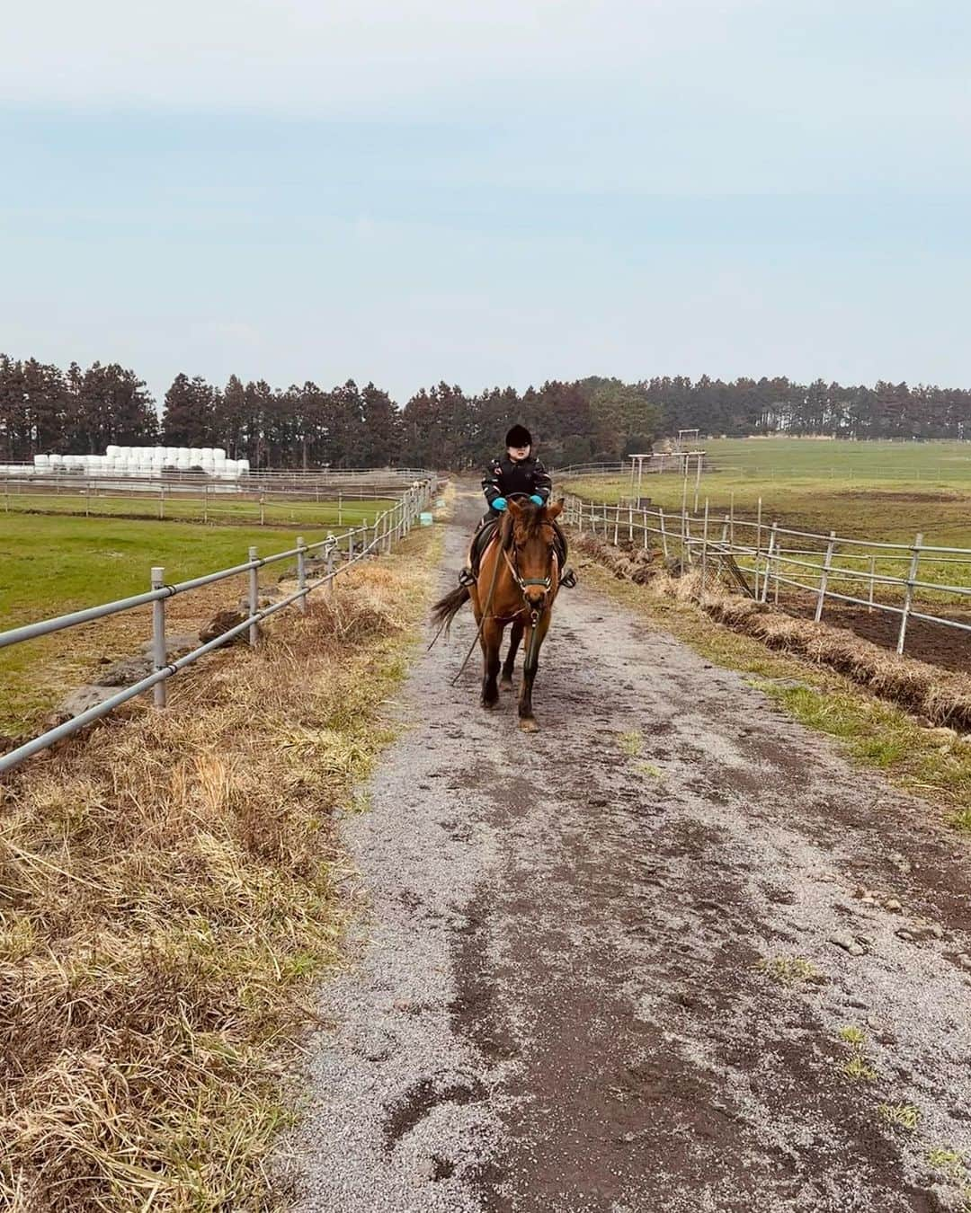 カン・ヘヨンさんのインスタグラム写真 - (カン・ヘヨンInstagram)「이런걸 #외승 이라고 하나요??🐎  잠깐만.. 이러다 내가 말과 사랑에 빠질 것 같아..  #31개월아기 #제주승마 #승마 #엄마와아들」2月24日 13時46分 - mangdoo_noona