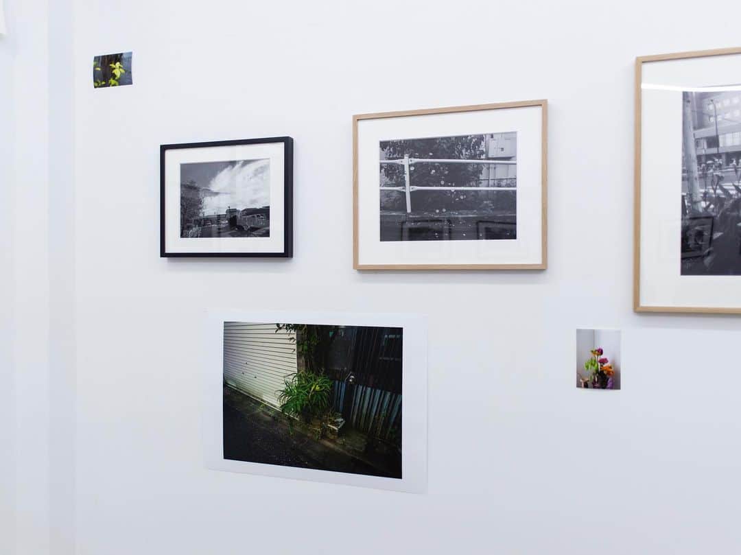 蓮井元彦さんのインスタグラム写真 - (蓮井元彦Instagram)「Installation view  Motohiko Hasui Photo Exhibition “Like a viator”  @gallery_kto」2月24日 14時43分 - motohiko_hasui