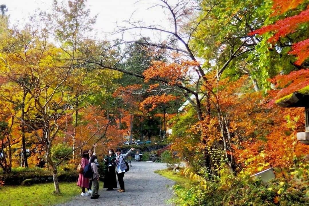 東京カメラガールズさんのインスタグラム写真 - (東京カメラガールズInstagram)「11/3(木・祝) サポーターズメンバー @nasshiju さんが企画したイベント 「秋の日光フォトウォーク」が開催されました✨  栃木県の東武日光駅に集合して、日光東照宮や二荒山神社などを散策して秋風景を楽しんだそうです🍂  参加者からは、 「@nasshijuさんが撮影スポットにとても詳しくて、まるでガイドさんのように案内してくれました。すごく贅沢なフォトウォークを楽しめました✨」 と嬉しいお声が沢山届いています😊 日光の秋景色、綺麗だなぁ～🍁  はじめましてのメンバーでも、共通の趣味”カメラ”を通してすぐに打ち解け合えるようです📷💕 サポーターズイベントへのご参加は、プロフィール欄のカメラガールズ公式WEBサイトからぜひチェックしてみてくださいね😊 全国各地で楽しいイベントを開催中です✨  ///////////////////////////////////////////  現在12,000人のカメラ女子が 活動しているカメラガールズ。 ”一緒に参加して楽しめる” そんなコミュニティメディアです。  ▼ご興味があれば カメラガールズWEBサイトから無料登録をお願いします😊  #カメラガールズ #東京カメラガールズ #カメラ女子 #ファインダー越しの私の世界 #カメラガールズ会報誌 #サポーターズレポート #日光 #栃木県」2月24日 14時58分 - tokyocameragirls