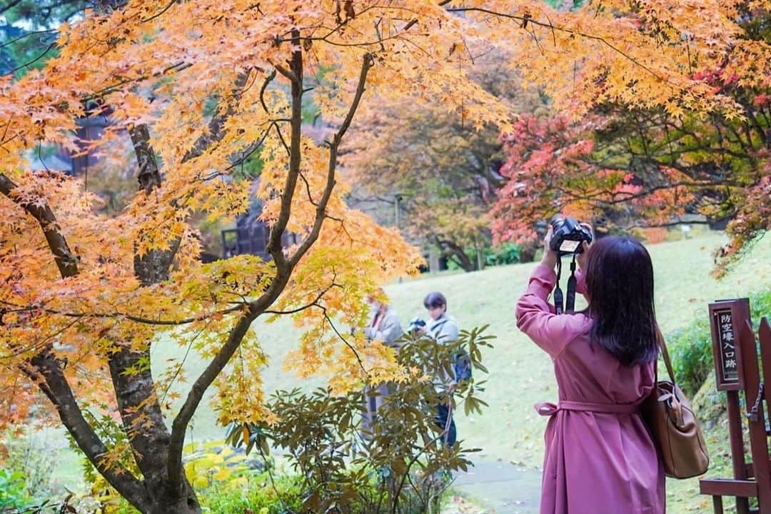 東京カメラガールズさんのインスタグラム写真 - (東京カメラガールズInstagram)「11/3(木・祝) サポーターズメンバー @nasshiju さんが企画したイベント 「秋の日光フォトウォーク」が開催されました✨  栃木県の東武日光駅に集合して、日光東照宮や二荒山神社などを散策して秋風景を楽しんだそうです🍂  参加者からは、 「@nasshijuさんが撮影スポットにとても詳しくて、まるでガイドさんのように案内してくれました。すごく贅沢なフォトウォークを楽しめました✨」 と嬉しいお声が沢山届いています😊 日光の秋景色、綺麗だなぁ～🍁  はじめましてのメンバーでも、共通の趣味”カメラ”を通してすぐに打ち解け合えるようです📷💕 サポーターズイベントへのご参加は、プロフィール欄のカメラガールズ公式WEBサイトからぜひチェックしてみてくださいね😊 全国各地で楽しいイベントを開催中です✨  ///////////////////////////////////////////  現在12,000人のカメラ女子が 活動しているカメラガールズ。 ”一緒に参加して楽しめる” そんなコミュニティメディアです。  ▼ご興味があれば カメラガールズWEBサイトから無料登録をお願いします😊  #カメラガールズ #東京カメラガールズ #カメラ女子 #ファインダー越しの私の世界 #カメラガールズ会報誌 #サポーターズレポート #日光 #栃木県」2月24日 14時58分 - tokyocameragirls