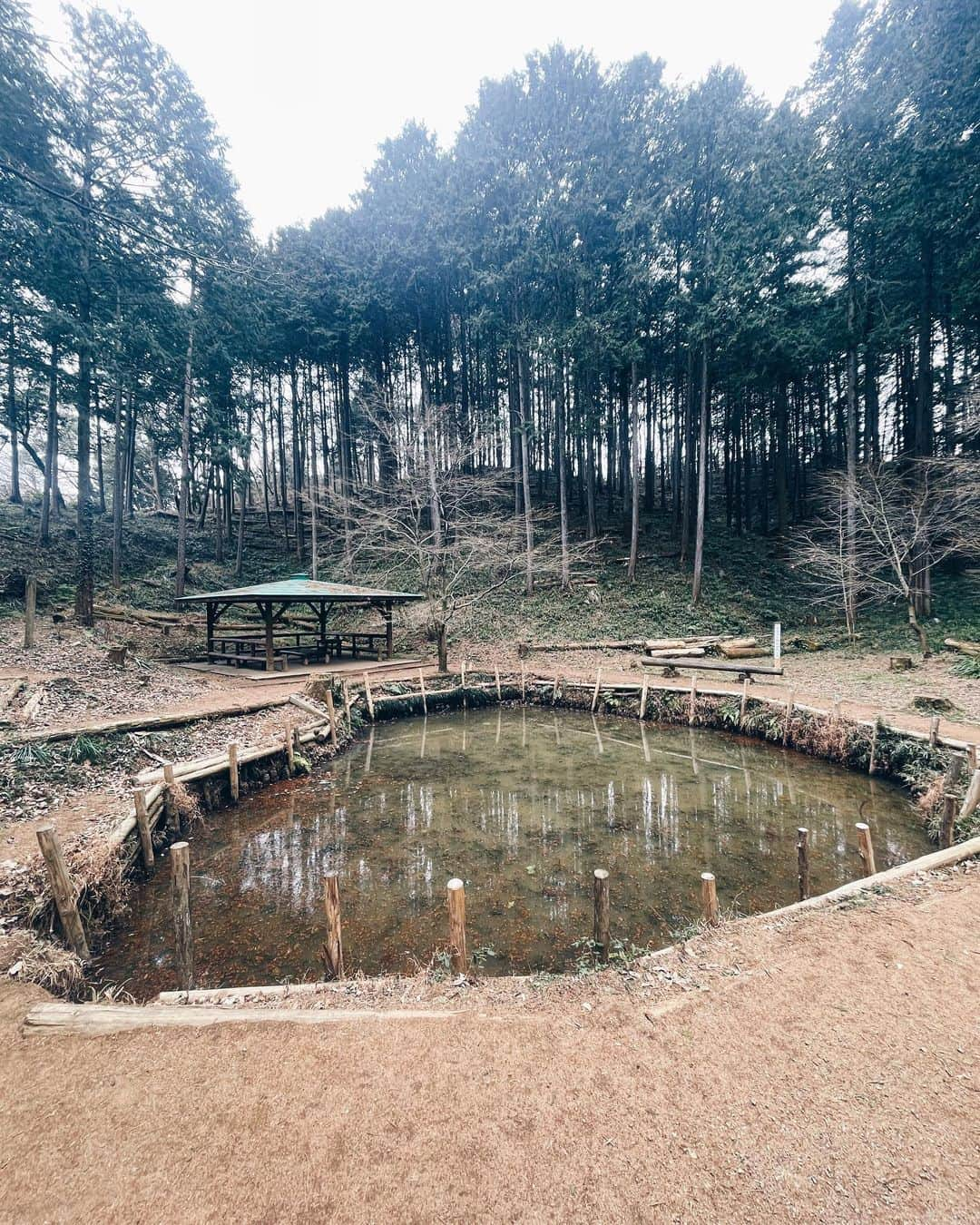 菖蒲理乃さんのインスタグラム写真 - (菖蒲理乃Instagram)「飯能ヤマ散歩🐾 天覧山〜多峯主山(とうのすやま)を縦走し、 ドレミファ岩を経由して川沿い散策！ 飯能駅を起点にぐるりと、およそ7Km！結構歩いたなー！  天覧山は標高195メートルながらも、 都心や丹沢が見渡せる絶景スポット。  多峯主山まで行く縦走路は 道が広くて歩きやすいし気持ちよかったな。 アップダウンも多くて飽きないし。 こ登山道に山頂からの眺め抜群だった。 ベンチやテーブルがたくさんあって、のんびり休憩してる人が多かったな。  途中、梅や蝋梅を見つけてココロオドル。 自分がお花に興味を持つお年頃になったのが愛おしい。  歴史あり山あり街あり。 見どころ満載ながらも落ち着きがあって、 ゆったり過ごせました。 飯能、いいところだな。  1.杉林は花粉やばめ…。 2.雨乞い池。一度も水が枯れたことがないらしい。 3.登山道に鳥居。かっこいい。 4.低山でもしっかり山頂標識！ 5.ロウバイきれい。いいにおい。 6.ドレミファ岩。渡るのヒヤヒヤした。  #飯能アルプス #飯能ハイキング #天覧山 #多峯主山 #ハイキング #低山ハイキング #低山ハイク #低山トレッキング #低山トラベル #山散歩 #山歩き #登山女子 #低山登山」2月24日 15時47分 - shobuayano