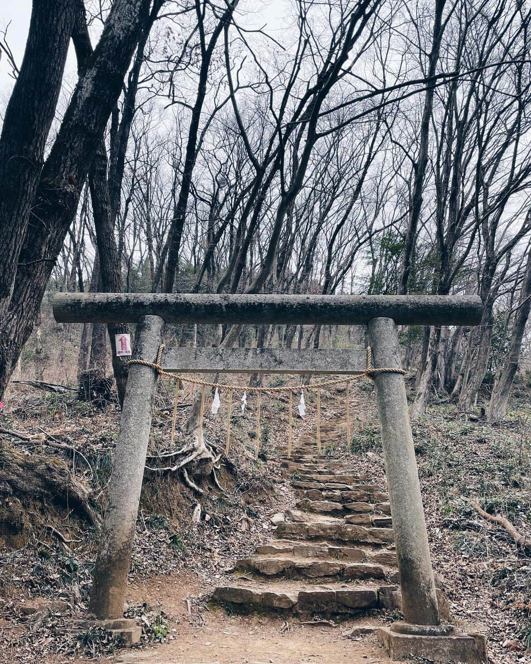 菖蒲理乃さんのインスタグラム写真 - (菖蒲理乃Instagram)「飯能ヤマ散歩🐾 天覧山〜多峯主山(とうのすやま)を縦走し、 ドレミファ岩を経由して川沿い散策！ 飯能駅を起点にぐるりと、およそ7Km！結構歩いたなー！  天覧山は標高195メートルながらも、 都心や丹沢が見渡せる絶景スポット。  多峯主山まで行く縦走路は 道が広くて歩きやすいし気持ちよかったな。 アップダウンも多くて飽きないし。 こ登山道に山頂からの眺め抜群だった。 ベンチやテーブルがたくさんあって、のんびり休憩してる人が多かったな。  途中、梅や蝋梅を見つけてココロオドル。 自分がお花に興味を持つお年頃になったのが愛おしい。  歴史あり山あり街あり。 見どころ満載ながらも落ち着きがあって、 ゆったり過ごせました。 飯能、いいところだな。  1.杉林は花粉やばめ…。 2.雨乞い池。一度も水が枯れたことがないらしい。 3.登山道に鳥居。かっこいい。 4.低山でもしっかり山頂標識！ 5.ロウバイきれい。いいにおい。 6.ドレミファ岩。渡るのヒヤヒヤした。  #飯能アルプス #飯能ハイキング #天覧山 #多峯主山 #ハイキング #低山ハイキング #低山ハイク #低山トレッキング #低山トラベル #山散歩 #山歩き #登山女子 #低山登山」2月24日 15時47分 - shobuayano