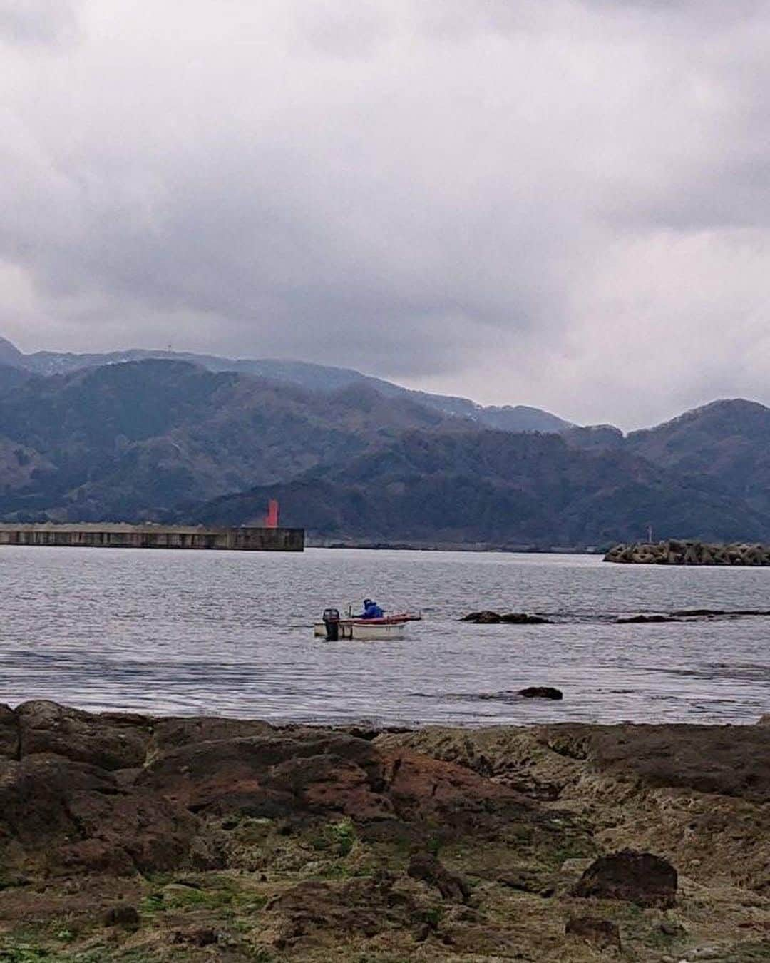 imagoso_kainoutaのインスタグラム：「🚤 今日のように波が穏やかな日は 磯見の船が見られます。 荒れた冬の日本海ではあまり見られないので 貴重な凪の日ですね！  今の時期は  #アカモク や #ジンバ が旬です。  海藻類はミネラルが豊富なので 今は若い方にも人気です◎ 採れたては香りもよく美味しいです☺️  海が穏やかで潮が引いている日は 岩場まで歩いて行くことができます。 色んな海の生き物をすぐそばで見ることができますので ぜひ宿の目の前にある今子浦海岸を散策してみてください♩   #いまご荘 #今子荘 #櫂の詩 #いまご荘櫂の詩 #香住旅館 #香住旅行 #兵庫旅館 #兵庫旅行 #ふたり旅 #女子旅 #大人旅 #かに旅行 #カニ旅行 #夕日百選 #絶景の宿 #香美町 #但馬 #香住 #兵庫 #今子浦 #松葉ガニ #松葉がに #礒見漁 #礒見船 #今子浦海岸」