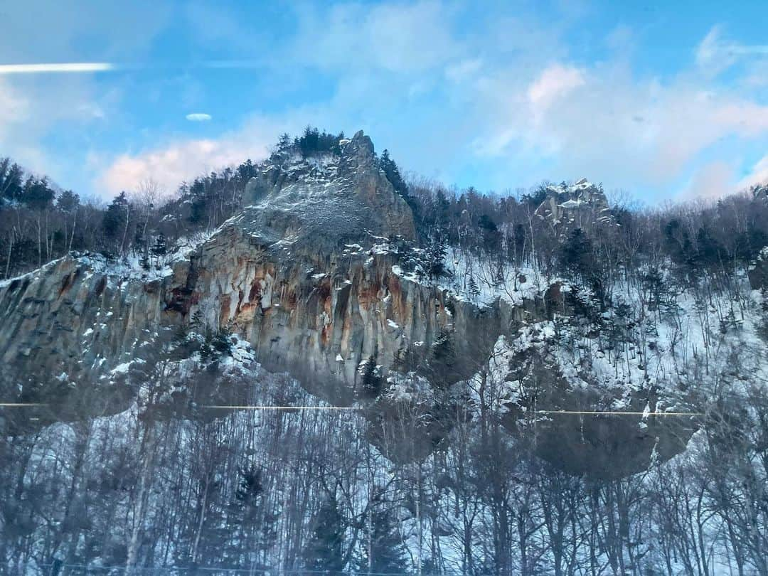 ニコラさんのインスタグラム写真 - (ニコラInstagram)「会いに北よ、夢みたい な冬の旅  2日目  午前7:40  ツアーバスは札幌駅前を出発し 雪道の中を 紋別に向かって走り出した  1時間も走ると 雪はよりいっそう深くなり、 窓の外は真っ白な山々が流れてゆく景色❄️  休憩を挟みながらもバスにゆられること 3時間強・・ようやくオホーツク海岸に到着❗️  今回の旅の目的のひとつ  ❄️流氷❄️  を見に行くために、ここまでやってきたのです・・‼️  私たちが乗船することになっているのは 🌈ガリンコ号II🌈 船頭の部分に設置された二つのドリルが 海上の氷を割りながら前進するタイプのお船🛥  (ガリンコ号Ⅰはすでに天寿を全うし、今はオブジェになっている。Ⅲは現在も稼働中。Ⅲは三階建ての大きめの船なのに対してIIは二階建てのやや小柄なため、海面との距離が近く迫力では勝っているとのこと。)  凪る港から船に乗り込み、いざ出港🛳  ２０分ほど走ると 流氷の群れが見えてきた❣️❣️  船は流氷郡の中に突っ込んでゆき・・  ガリンコ❗️ガリンコ❗️  大きな流氷を砕き壊しながら突き進む❗️  長年夢見た流氷たち  冷たい海に浮かぶ　氷の板たちよ  冬だけの　限られた　結晶たちよ！  おまえたちはどこから来たんだい  彼らはね　オホーツクの奇跡  特別な地理が生んだ　不思議なかたまりさ  どんぶらこ　どんぶらこ  ようやく出会えた流氷たち。 本当に嬉しいよ。 また会おうよ　きっとまた　会いにくるからね  流氷クルーズが終わったら 再びバスに乗って 今度は🌨層雲峡🌨へ✨  フィルムモチーフの可愛いチケットをもらって、層雲峡氷瀑祭りへ入場✨  この会場、、死ぬほど滑る😢  支笏湖のほうはダイナミックな氷瀑だったけど、 層雲峡の方は幻想的で細部にこだわっている感じ。  スノードームの中で熱燗や酒粕ココア売っていて、 氷のバーカウンターで飲めちゃうコーナーがあったり❤️  売店ではザンギやビール、ちょっとしたお土産を売っていたり、 チューブにのって雪の滑り台を滑れたり、  こっちの方が賑やかだった✨  1時間しかなかったので少し物足りなかったけど・・ 帰りのバスの時間になってしまい・・  また3時間ほど揺られて札幌へ帰還😌  ペコペコおなかで、素敵な居酒屋 #一鱗酒場　で美味しいごはん❤️‍🔥🍺  長年の夢を叶えた 素晴らしい1日であったとさ・・💕  #北海道 #でっかいどう #北海道旅行 #北海道ひとり旅 #紋別 #紋別オホーツク #流氷 #流氷クルーズ #ガリンコ号 #オホーツク #層雲峡 #層雲峡氷瀑まつり #ひとり旅 #札幌 #札幌グルメ #大通公園グルメ」2月24日 16時52分 - nicolax27