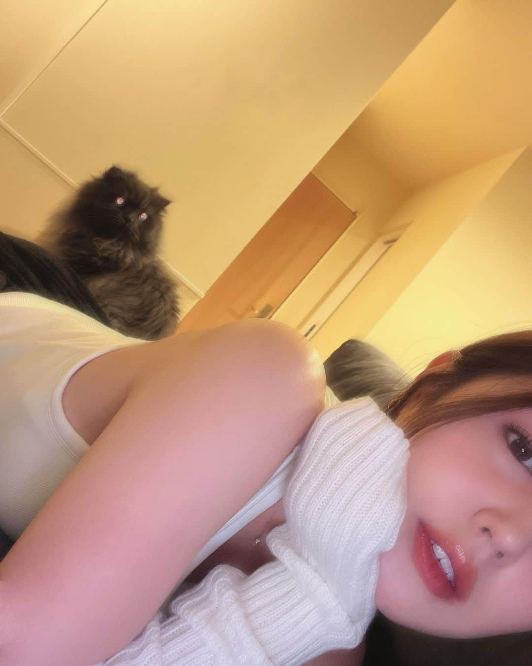 八尋莉那さんのインスタグラム写真 - (八尋莉那Instagram)「ねこねこの日過ぎちゃった😹！ #2月22日 #猫の日 私のカメラロールはティティーとステラでいっぱい😽♡  さっき近所のマダムとねこトークしたよ😺 私が住む街はねこ好きさんが多いなあ🫶🏻 ・ 🐱#Titty🐱 🐱#Stella🐱🌫 #スコティッシュフォールド #おすわり#にゃんこ#レッドタビー#猫#ねこ#みんねこ#ねこ部#ぺこねこ部#にゃんすたぐらむ🐾#にゃんすたぐらむ#ふわもこ部#長毛種#cat#catstagram#follow#followme#고양이#instagram#ねこすたぐらむ#スコ#スコグラム#カメラ好きな人と繋がりたい#iPhoneカメラ#猫のいる暮らし#にゃんこ#猫の日」2月24日 18時05分 - rinahnna