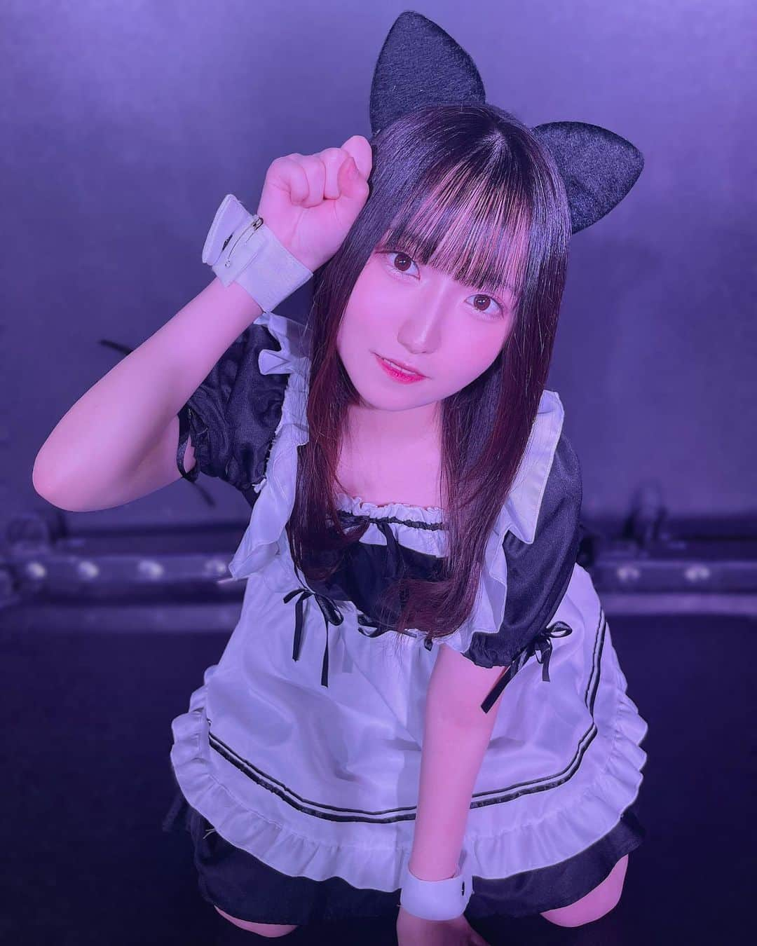 野田陽菜乃のインスタグラム：「にゃあ🐈‍⬛🤍  #メイド#メイドさん#メイド服#メイドコスプレ#コスプレ#猫#ネコ#ねこ#猫耳#ネコ耳#白#黒#白黒#モノトーン#黒髪#黒髪女子#アイドル#地下アイドル#君とセレンディピティ#君セレ#野田陽菜乃#東京#三重」