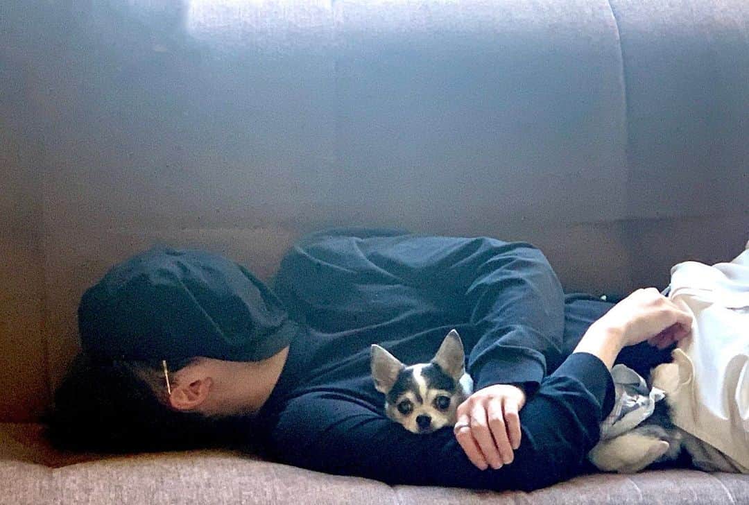 のインスタグラム：「_ 「やってきました金沢」 ⁡ 田村心です。 ⁡ ⁡ 舞台『巌流島』 ⁡ ⁡ 金沢に来ております。 ⁡ ⁡ 昨日キャストは1日お休みでした。 ⁡ ⁡ 昼過ぎまでしっかり寝て 姉と遅めのランチを食べました。 ⁡ 舞台の感想聞いたり 田村家の犬と戯れたりお散歩したり... ⁡ ⁡ ⁡ そして 寝ました。笑 ⁡ ⁡ ⁡ ⁡ めちゃめちゃ寝てる。 ⁡ ⁡ ⁡ ⁡ 自分の腕におさまっているのは チャンプという名前のチワワです。 ⁡ 今年で16歳。 長生きです。 ⁡ 自分が 中学生の時から一緒です。 ⁡ ⁡ ⁡ たくさん寝て 犬に癒されていい1日でした。 ⁡ ⁡ ⁡ 明日から 金沢公演頑張ります！！！！ ⁡ ⁡ ⁡ 金沢おすすめスポット教えてください！！！！ ⁡ ⁡ ⁡ では！！！！」