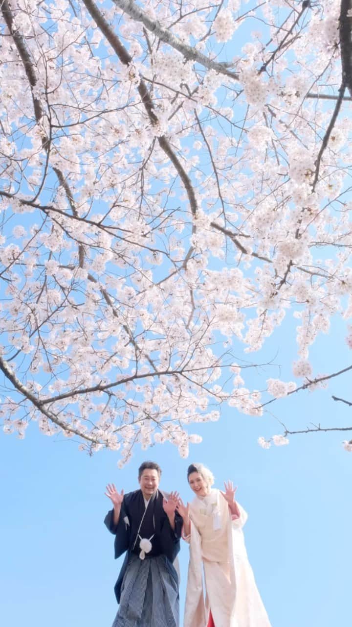 髪型ヘアスタイル・ウエディング、七五三、お宮参りのキキフォトのインスタグラム：「✨桜フォトウエディング✨  桜の開花予報がそろそろ出ますね  それに合わせたように  桜の季節での撮影問い合わせが  急に増えてきました  でも３月下旬と４月上旬の  土日は全て予約で埋まりました  平日も空いている日が  少なくなってきました  ご希望の方は早めにご予約くださいね  photo by @kikiphotoworks いけだ  ＿＿＿＿＿＿＿＿＿＿＿＿＿＿＿＿  空き状況など簡単なお問い合わせは LINEでお気軽に質問してくださいね 配信は年に１回くらいです✌🏻  LINEのID検索 uhk3050w ＿＿＿＿＿＿＿＿＿＿＿＿＿＿＿＿  この投稿がいいなと思ったら いいね・シェア 見返したいと思ったら 保存をよろしくお願いします😊  ＿＿＿＿＿＿＿＿＿＿＿＿＿＿＿＿  和装結婚式の写真撮影、衣装 着付け、ヘアメイクのセットで 日本全国に出張しています  詳しくはプロフィールに記載のURLよりご覧ください 👇🏻 @kikiphotoworks   ＿＿＿＿＿＿＿＿＿＿＿＿＿＿＿＿  写真は未来の宝物 フォロー&コメント 飛び上がって喜びます。  @kikiphotoworks  ＿＿＿＿＿＿＿＿＿＿＿＿＿＿＿＿  いろんなアカウントあります。  ドレス写真 Dress photo @kikiphotoworks_dress  子育てプライベート Private photo @kikiphotoworks_kazuki_ikeda  癒しのイラスト Funny illustration @kikiphotoworks_illustration  Kimono wedding photo in Nara Japan. When pandemic is over, please come to Nara. Until then, please enjoy the scenery of Nara on Instagram.  I take wedding photos based in Nara, but I'm also on a business trip to Kyoto, Osaka, and nationwide.   If you have any questions or want to ask, please do not hesitate to comment as they will be helpful for others.  ＿＿＿＿＿＿＿＿＿＿＿＿＿＿＿  #婚約指輪探し #前撮り写真 #前撮りポーズ  #少人数婚 #少人数ウェディング #kikiフォト #キキフォト #キキフォトワークス #kikiphotoworks #和装前撮りアイテム #和装フォトウェディング #和装ロケーションフォト #婚約者 #婚約祝い #婚約指輪 #前撮りアイデア #フォトウエディング大阪 #フォトウエディング京都 #和婚式 #神前式挙式 #和装花嫁 #和装婚 #和装結婚式 #和装髪飾り #少人数結婚式　#奈良公園🦌 #桜前撮り #桜スポット #白無垢コーディネート #白無垢花嫁」
