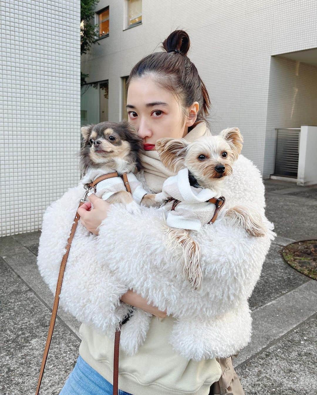 田原可南子さんのインスタグラム写真 - (田原可南子Instagram)「“コーダ あいのうた” 鑑賞。 さまざまな愛の形を垣間見た。 伝える、伝わる、って素敵。 温かいやさしさに包まれる映画でした🎼  この日は撮影終わりにお散歩！ クマもあるけど日焼けは気にせず すっぴんにリップが気持ちいい。  ふわふわで軽くてあったかい エコファーのアウター🐩 @fray_id   2匹でおそろいの春ニット🧶 @gelatopique_official」2月24日 23時33分 - kanakotahara