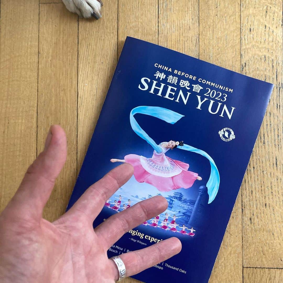シーマス・デヴァーさんのインスタグラム写真 - (シーマス・デヴァーInstagram)「Happy Shen Yun Sign Season to all who observe.」2月25日 2時04分 - seamuspatrickdever