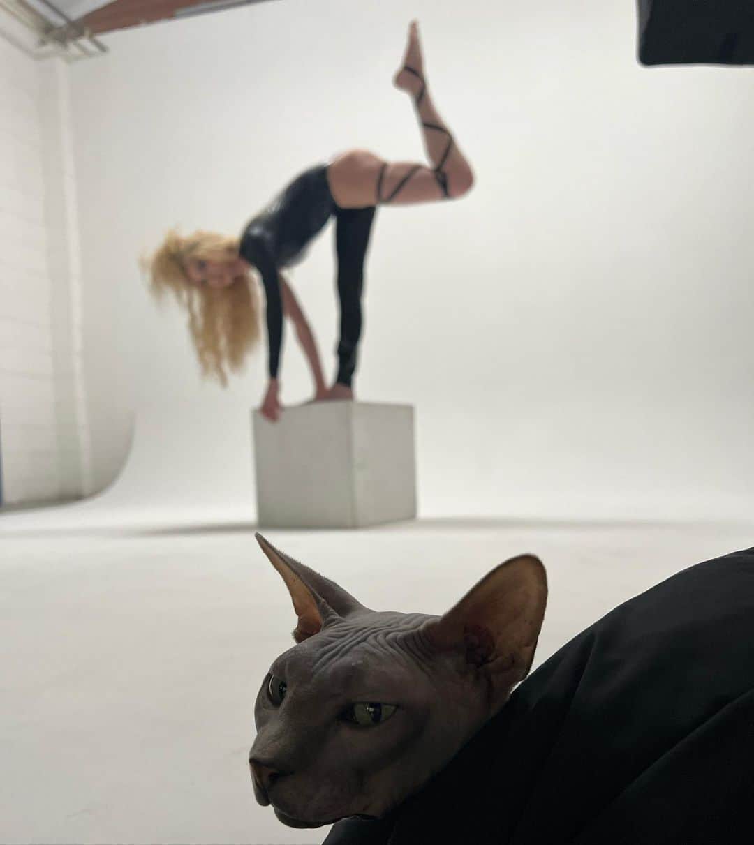 のインスタグラム
