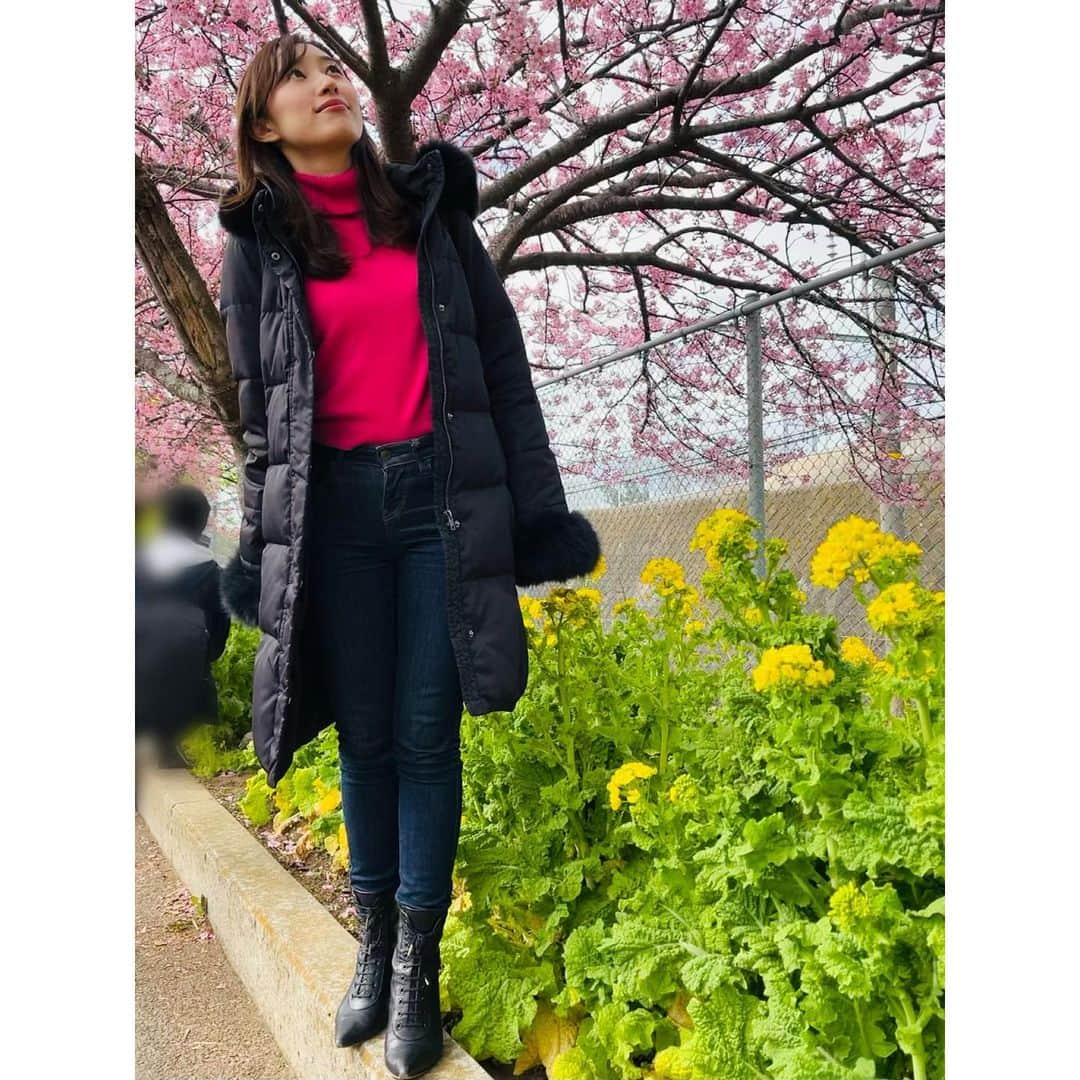 楠紗友里さんのインスタグラム写真 - (楠紗友里Instagram)「* Spring has come ?🌸  봄이왔어🤭 고향에서 벚꽃이 피었습니다✨  #河津桜 #桜まつり #春到来🌸  #봄 #벚꽃 #일본벚꽃  #일본 #springday  #springhascome  #cherryblossoms  #japan」2月25日 17時00分 - sayuri_kusunoki