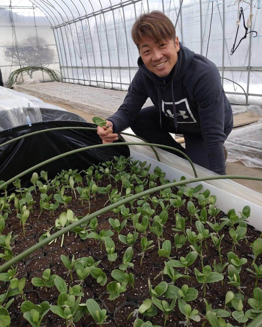 高崎寛之さんのインスタグラム写真 - (高崎寛之Instagram)「スイカの苗作り。 夕顔の種をまいて、スイカの種をまいて育ったら接木をしてポットに植える。 今年は大玉スイカを作ります。」2月25日 15時47分 - hiro0317