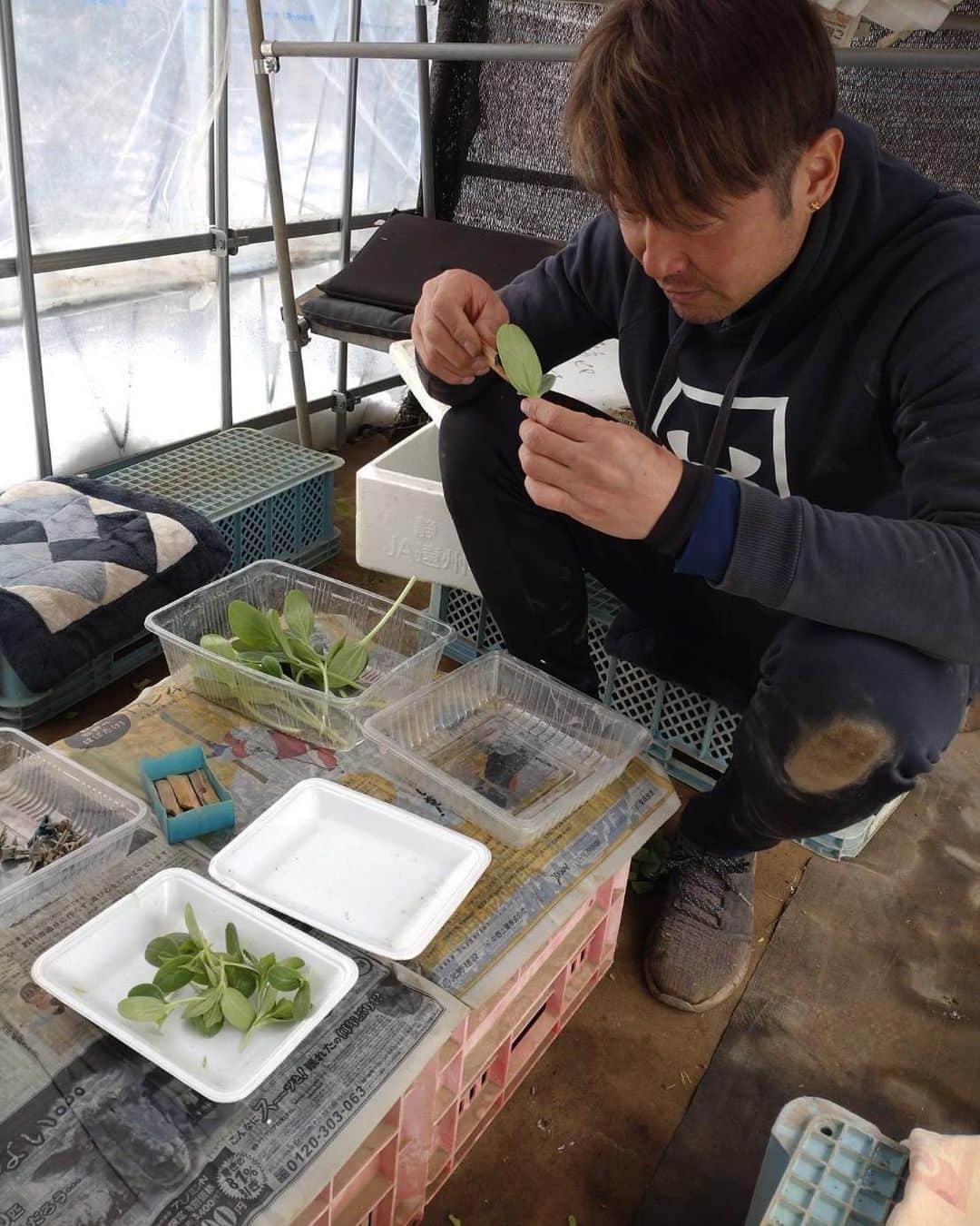 高崎寛之さんのインスタグラム写真 - (高崎寛之Instagram)「スイカの苗作り。 夕顔の種をまいて、スイカの種をまいて育ったら接木をしてポットに植える。 今年は大玉スイカを作ります。」2月25日 15時47分 - hiro0317