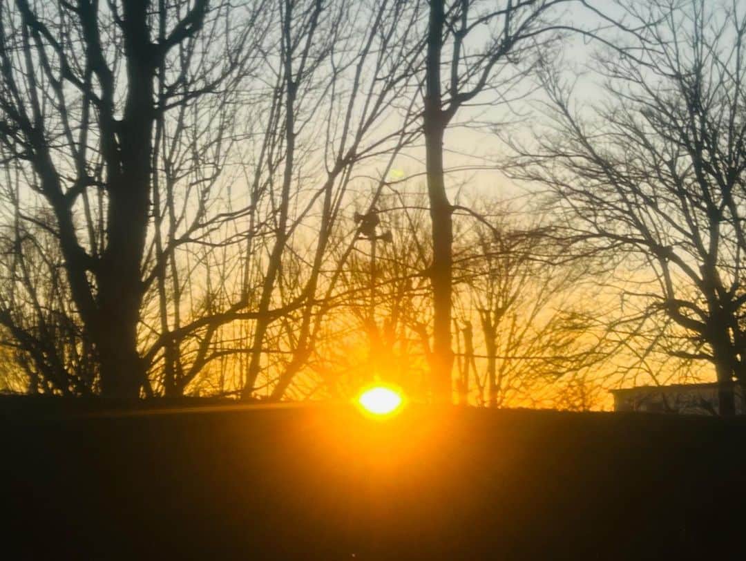 古村比呂さんのインスタグラム写真 - (古村比呂Instagram)「今朝の朝陽は金色✨ パワーをハイッとな➰ 今日一日が穏やかでありますように🌈  #sunrise  #朝陽 #金色 #元気玉 #hirokomura #古村比呂」2月25日 7時51分 - hirokomura1124