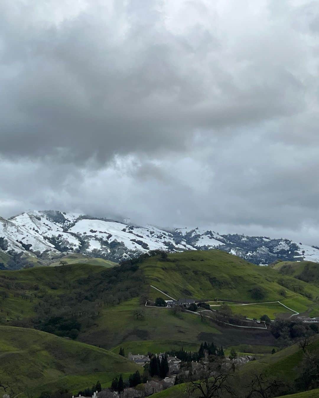 クリスティー・ヤマグチさんのインスタグラム写真 - (クリスティー・ヤマグチInstagram)「Great view of the rare Mt. Diablo snow on our walk today. Brrrrrr ❄️ #EastBayHills」2月25日 8時19分 - kristiyamaguchi