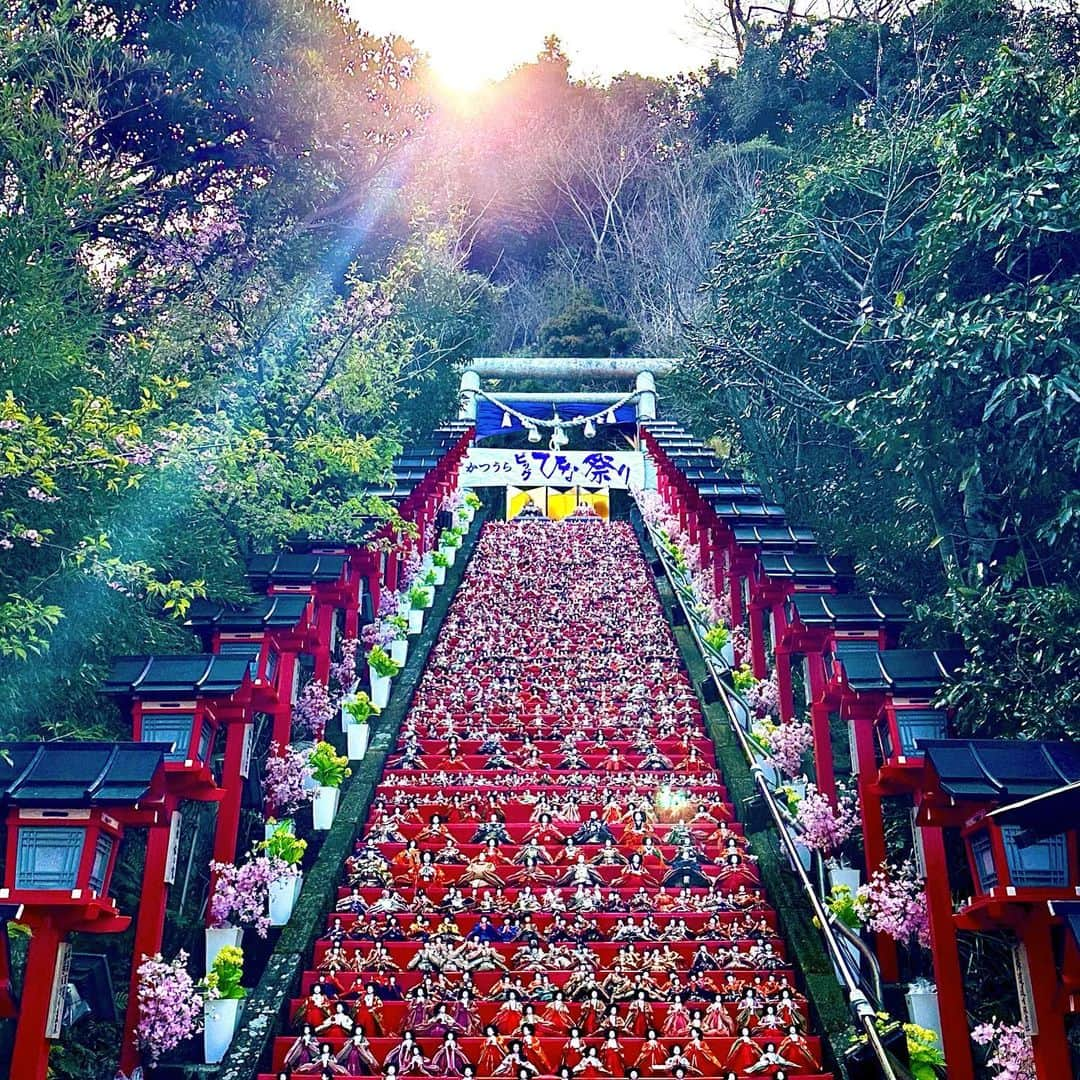 LOVE ME DOのインスタグラム：「遠見岬神社の神社の階段に並べらたひな人形です！ #運気アップ に #待ち受けにどうぞ #千葉県勝浦市 #遠見岬神社 （とみさきじんじゃ） #かつうらビッグひな祭り #3月3日 #ひな祭り」