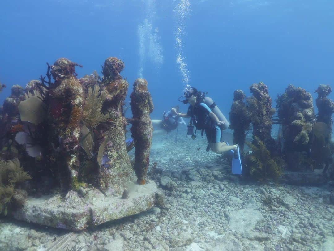 樋口千紗さんのインスタグラム写真 - (樋口千紗Instagram)「. 【カンクン旅行記録】  カンクン5日目は、 10年ぶりのスキューバダイビングへ🤿  このMUSA海底美術館は、近年減少する サンゴ礁を守るためにカンクン国立海洋公園が イギリス人彫刻家でありダイビング愛好家である ジェイソン・デカイレス・テイラー氏に依頼して 作られたのだとか。  彫刻は、環境に優しく海の生物が発育しやすい コンクリートやファイバーグラスを使って作られていて 現在では彫刻の表面にたくさんのサンゴ礁が付着しています。  10年ぶりのスキューバなのもあり 普通に潜り方忘れてて、ちびりかけたw なのでベテランインストラクターのおっちゃんが ずっと付き添ってくれました🥹 (おっちゃんの腕組みスタイルほんま萌える)   水深がすごく深いので、いつでもすぐに 呼吸できる環境のシュノーケリングに比べて、 何かあってもすぐに息ができない環境のスキューバ。 久々に海の中で怖くなったな〜。 けど、それも含めて非日常を味わうためのいい刺激。 しばらくしたら呼吸にも慣れてスイスイーっと。  ウミガメにも会えた🤟 途中、付き添いのおっちゃんが急に消えた！と思いきや、 チクチクなもの拾ってきて手に乗っけられ。ウニやん、これw 手のひらに吸い付いてきて、めっちゃ可愛いかった。   これまで楽やし手軽やから、 ずっとシュノーケリングばっかしてきたけど、 やぱスキューバは、海の中でずっと息してられるし、 深くまで潜れるし、サンゴや魚をより間近で長時間見れるし、 シュノーケリングでは見れない世界が たくさん見れるから感動も大きい。  #メキシコ  #Mexico #カンクン #Cancun #Cancún #海外旅行 #trip #travel  #MUSA海中美術館 #MUSA #CancunUnderwaterMuseum #MuseoSubacuáticodeArte #ダイビング #シュノーケリング #diving #シュノーケル #snorkel #snorkelling #スキューバダイビング #scubadiving #MUSA海底美術館 #海中美術館 #underwater」2月25日 13時17分 - chisa.higuchi