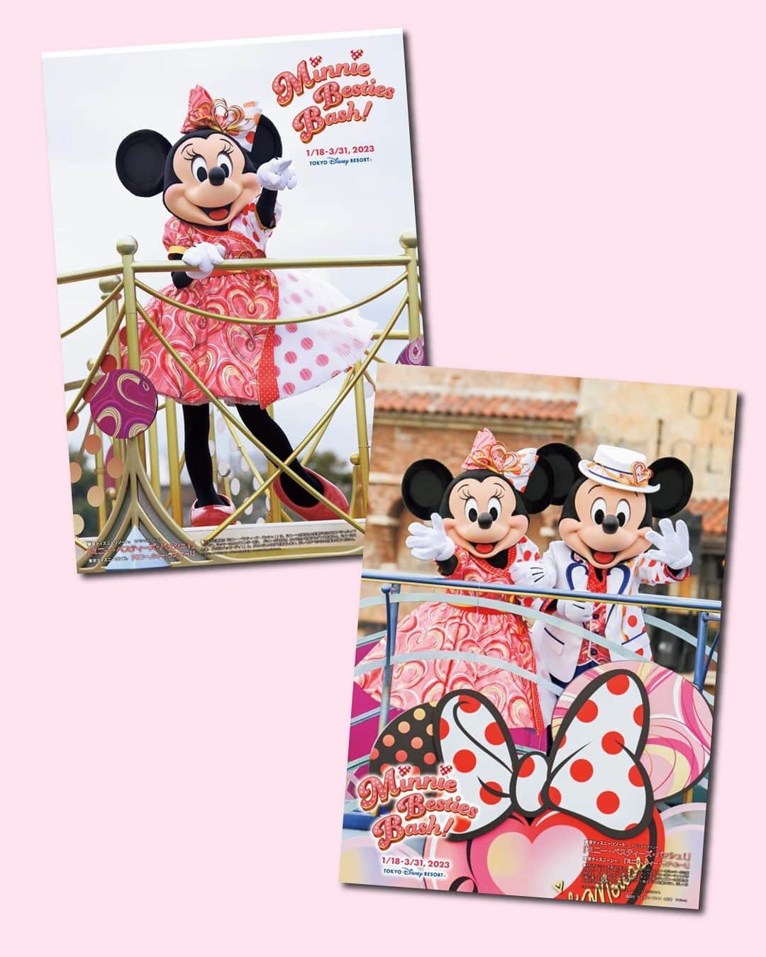 月刊ディズニーファン【公式】さんのインスタグラム写真 - (月刊ディズニーファン【公式】Instagram)「#ディズニーファン４月号 は本日発売🌸   表紙は水仙を片手に微笑む#ベル 🌹 黄色の花がドレスに似合っていてとっても素敵✨   4月号では、#東京ディズニーリゾート 40周年のアニバーサリーイベント「#ドリームゴーラウンド 」の最新情報をお届け🌟 現在開催中の#スペシャルイベント「#ミニー・ベスティーズ・バッシュ！ 」の楽しみ方や「#ビリーヴ！〜シー・オブ・ドリームス〜 」の開発者インタビューなど、気になる最新トピックスも紹介しているよ🧚‍♂️💫   特別企画はブックインブック「#春キャン だもん！東京ディズニーリゾートでときめきカラーをGo Seek!」📘 パークで映える#フォトスポット やグッズ、メニューをカラー別に紹介しているよ❣️お気に入りの色を探してみよう🎨   #ピンナップ は両パークの「#ミニーベスティーズバッシュ」の写真だよ💕   全国の書店やネット書店でぜひチェックしてみてね📖     #ディズニーファン4月号 に掲載の記事は、2023年２月９日時点の情報に基づいています。掲載した情報は、予告なく内容が変更、中止になる場合があります。  各情報の最新状況につきましては、誌面に掲載のお問い合わせ先にお問い合わせください。  東京ディズニーリゾートに関する情報は、 東京ディズニーリゾート・インフォメーションセンター 電話0570-00-8632　受付時間：10:00-15:00 （年中無休） （一部のIP電話・国際電話の方は045-330-5211）にお問い合わせください。  読者の皆様にはご迷惑をおかけいたしますが、何とぞご了承いただけますよう、お願い申し上げます。  #ディズニーファン #月刊ディズニーファン #disneyfan #ディズニー公式情報誌 #disney #ディズニー #disneyphoto #tokyodisneyresort #tokyodisneyland #tokyodisneysea#東京ディズニーランド#東京ディズニーシー#東京ディズニーリゾート40周年#美女と野獣 #beautyandthebeast」2月25日 14時13分 - dfan_mag_official