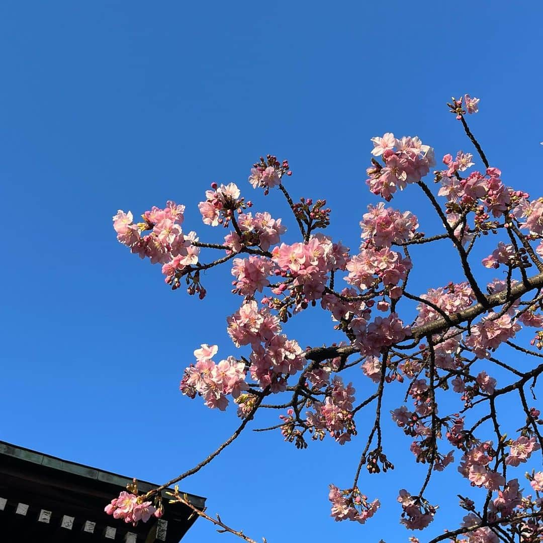 杉野真実さんのインスタグラム写真 - (杉野真実Instagram)「🌸  各地で河津桜が見頃ですね✨ まだ寒いですが、春はもうすぐそこまで来ているのだなと感じます😌  #トルコ南部地震 で被害を受けた方々に心からお見舞い申し上げます🙏🏻  #ウクライナ情勢 1年で多くの命が犠牲になってしまいました　一日も早く収束しますように🇺🇦 🙏🏻🕊  早く春が来ますように、願いを込めて✨  #花粉症対策みなさんのお勧めは何ですか 🤧」2月25日 14時38分 - sugino_mami