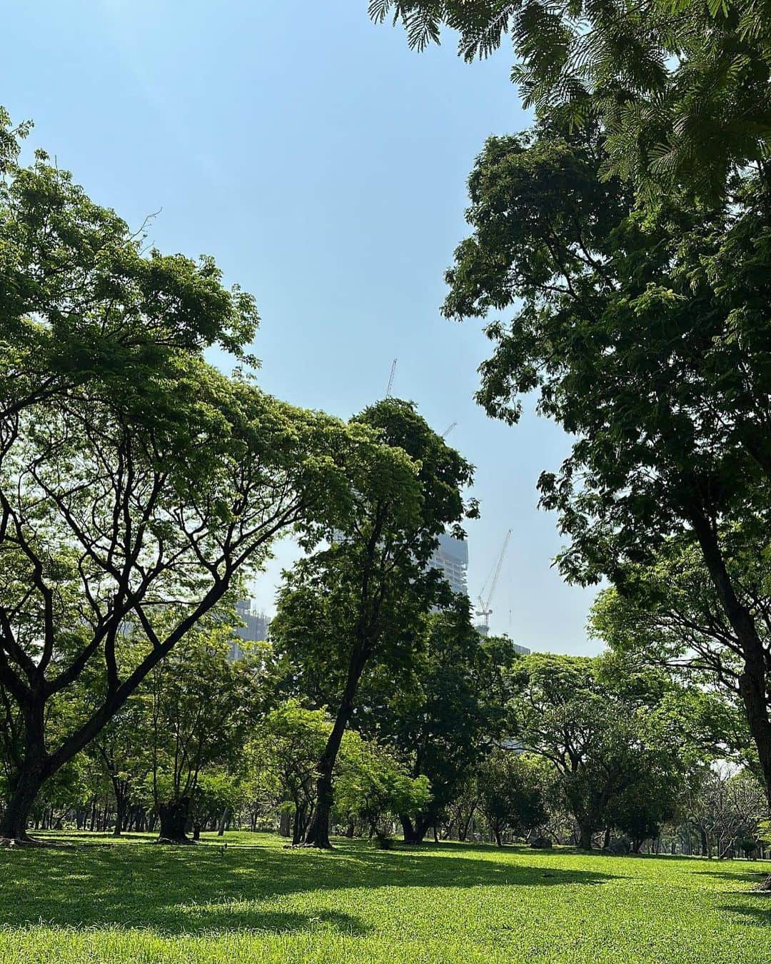 チャン・スンヨンさんのインスタグラム写真 - (チャン・スンヨンInstagram)「🍀💚🌿🌱☘️🌴🌳」2月26日 0時58分 - seung_monkey