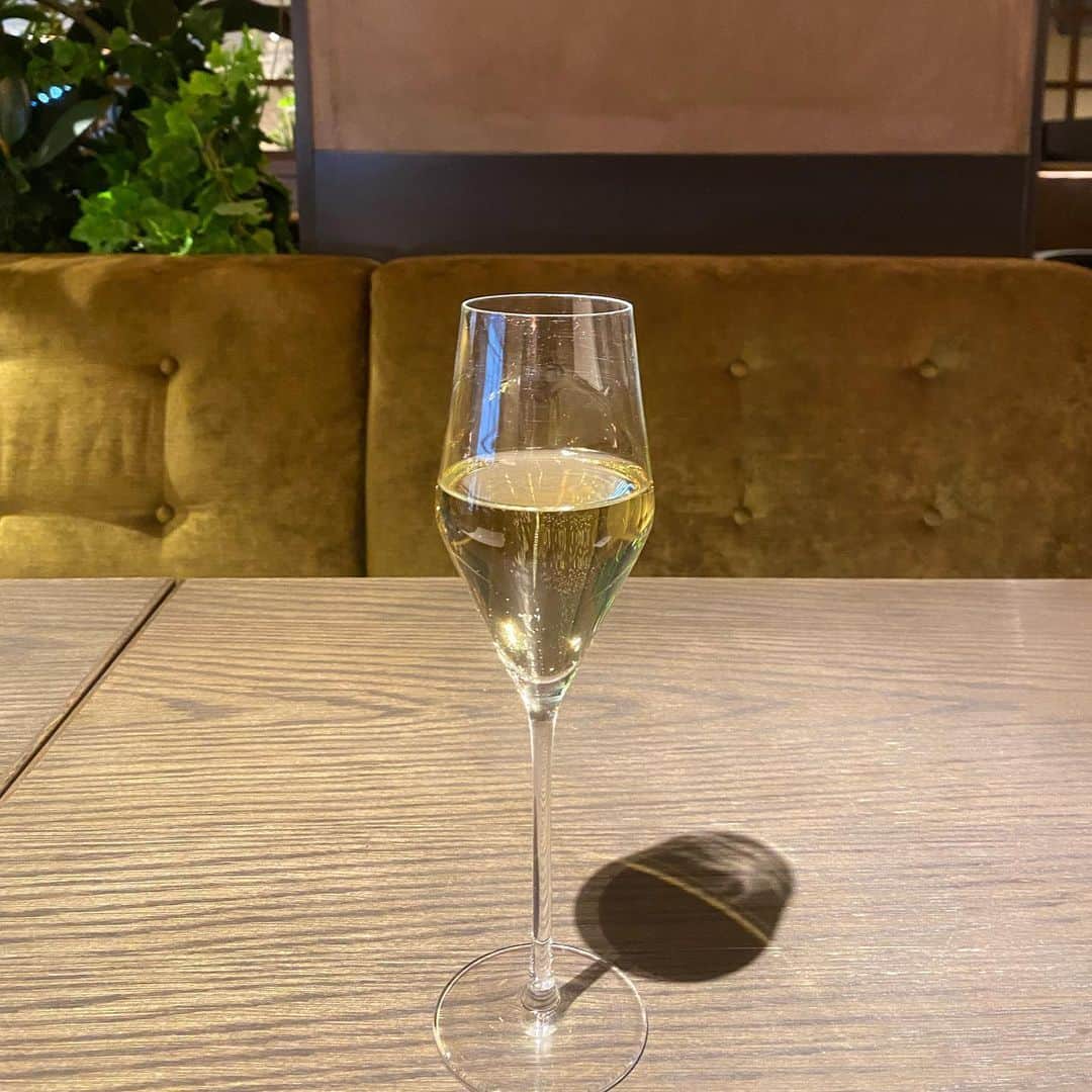 山本侑貴子さんのインスタグラム写真 - (山本侑貴子Instagram)「横浜にて 2件打ち合わせ✨  打ち合わせを済ませ、 そのまま飲み会に！笑  備忘録として  ハッピーアワーから スタート✨  そして赤ワインボトルを オーダー！  結局、私達 何杯飲んだのー⁉️笑  イタリア トスカーナ  SOGNOMIO ROSSO Toscana Rosso  生産者 ドゥーカ・ディ・サラニアーノ  品種 モンテプルチアーノ、サンジョヴェーゼ  ●薪火で焼いたチキンとGood ペアリングでした！」2月25日 17時21分 - yukiko.diningandstyle.wine