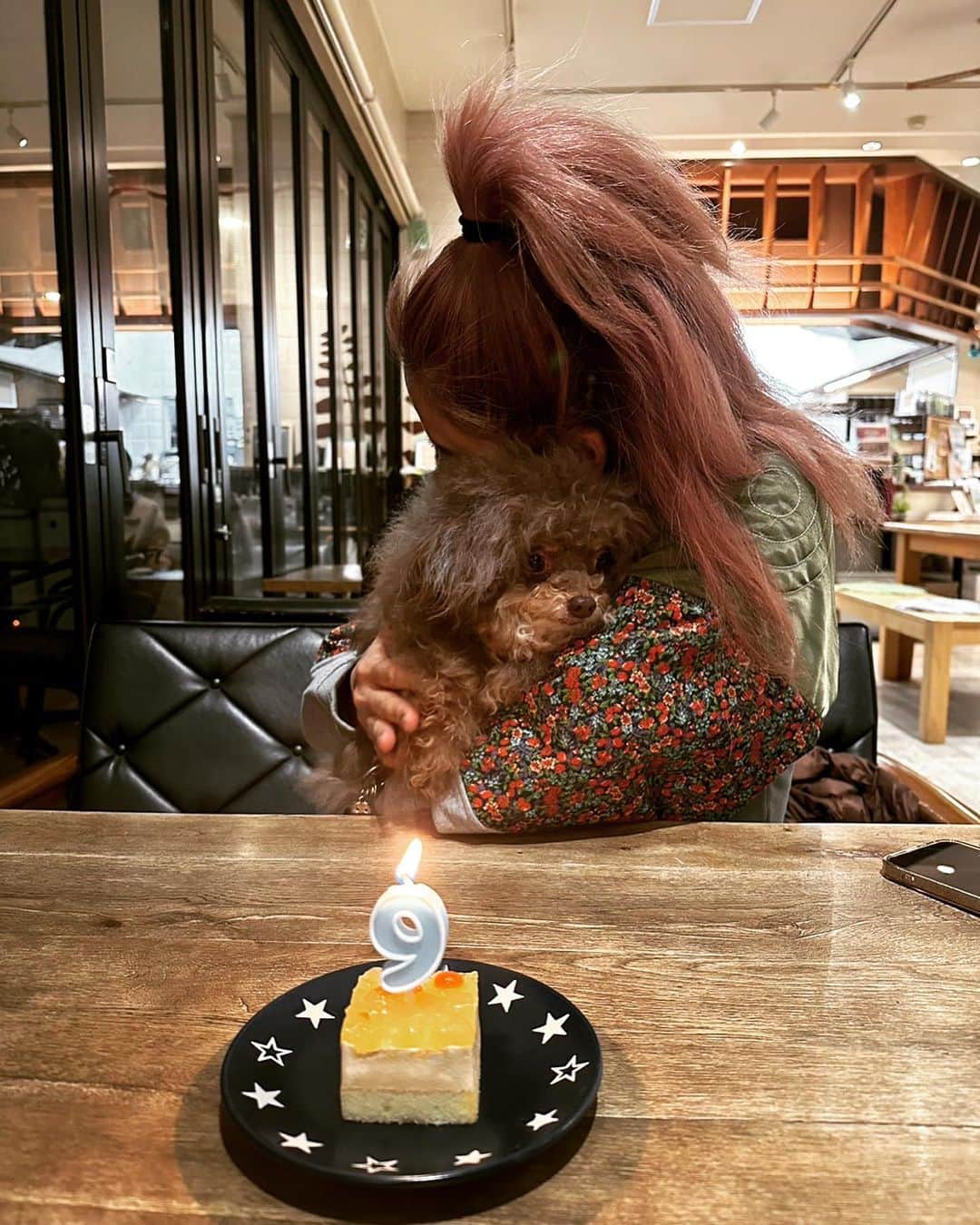 のインスタグラム：「mojo 9歳✨」