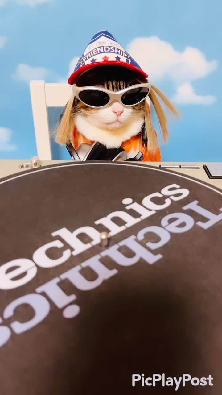 のインスタグラム：「㊗️TRFデビュー30周年おめでとうございます🎉 ✴︎ 30年間輝く続けている事をファンとして尊敬しています✨ これからも応援し続けます❣️ ✴︎ #cat#cats#catsofinstagram#sweetcatclub#😻 #music#dance#TRF#ねこ#ねこすたぐらむ#猫 #保護猫#猫のいる暮らし#猫のいる生活」