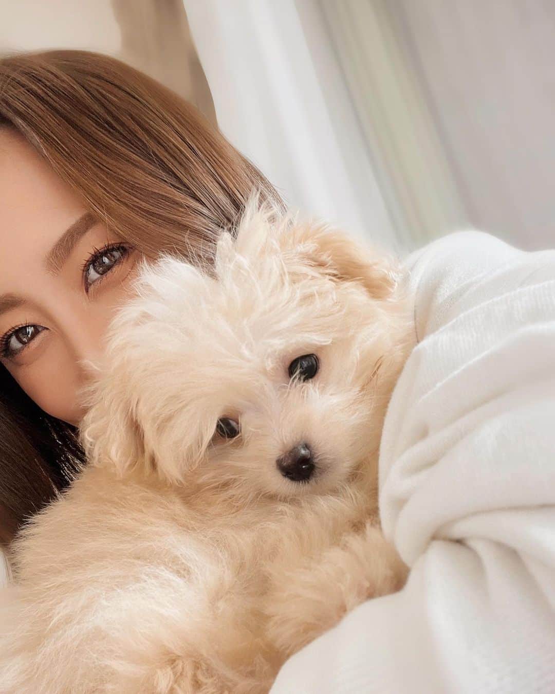 山川 二千翔のインスタグラム：「少しの間友達の犬を預かってました🐶 可愛い可愛い子犬くん🫶 幸せだった〜〜🥹♡  #犬がいる生活  #子犬のいる暮らし」