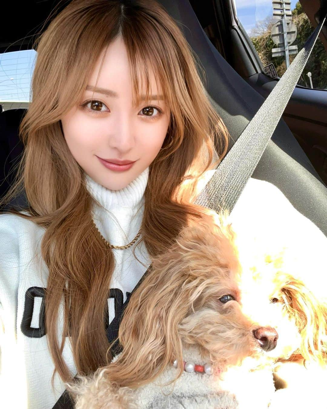 SAYAのインスタグラム：「. . 車でおでかけ🚗³₃ 御殿場アウトレットいったよん❣️ わんちゃん連れ多かった🐶‎🤍  . . #静岡  #御殿場 #御殿場アウトレット #ドライブ #買い物 #ショッピング #遠出 #アウトレット #祝日 #セルカ #instagram #instgood #dog #shopping #drive #데일리 #좋아요 #셀카 #셀스타그램 #강아지 #인스타」