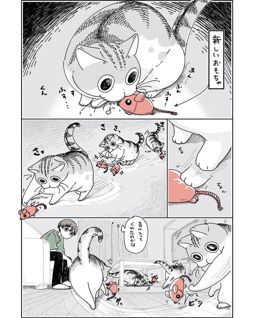 キュルZのインスタグラム：「いれかわるおもちゃ  #キュルガ #夜は猫といっしょ #猫 #cat #猫漫画 #猫のいる暮らし」
