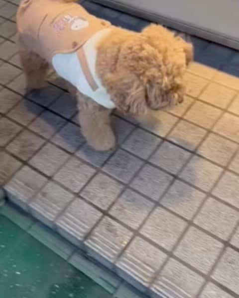 高橋ひとみのインスタグラム
