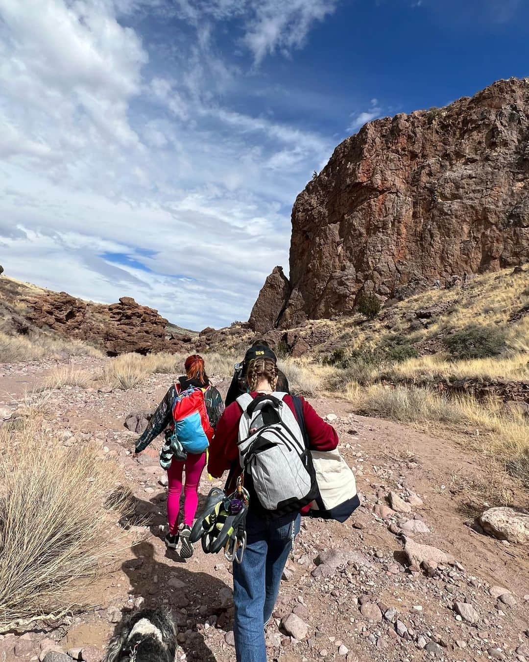ウィロー・シールズさんのインスタグラム写真 - (ウィロー・シールズInstagram)「Not to be cheesy but being outside today in the sun climbing beautiful rocks with wonderful people brings me more joy than I can describe in an IG caption.」2月26日 10時03分 - willowshields