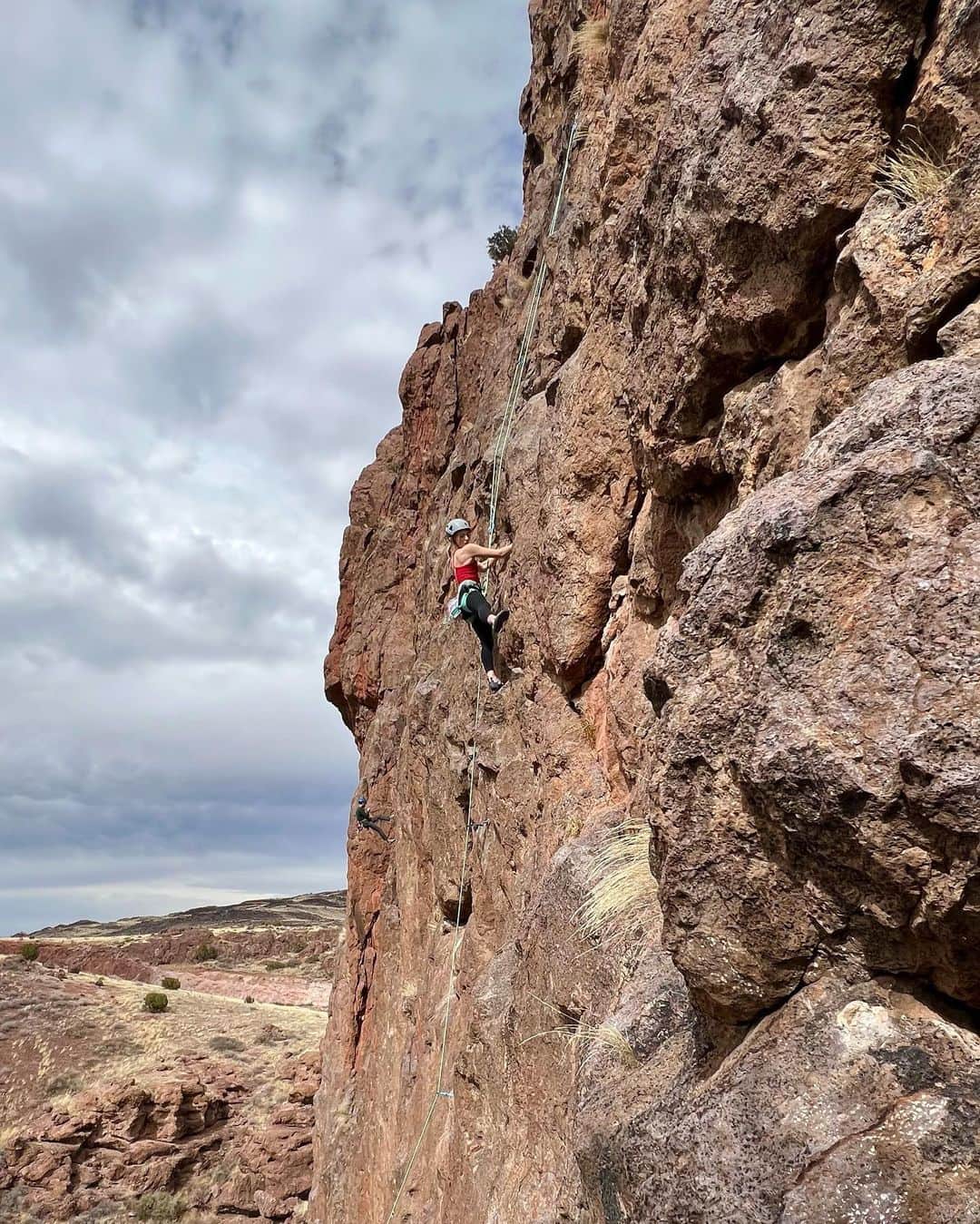 ウィロー・シールズさんのインスタグラム写真 - (ウィロー・シールズInstagram)「Not to be cheesy but being outside today in the sun climbing beautiful rocks with wonderful people brings me more joy than I can describe in an IG caption.」2月26日 10時03分 - willowshields