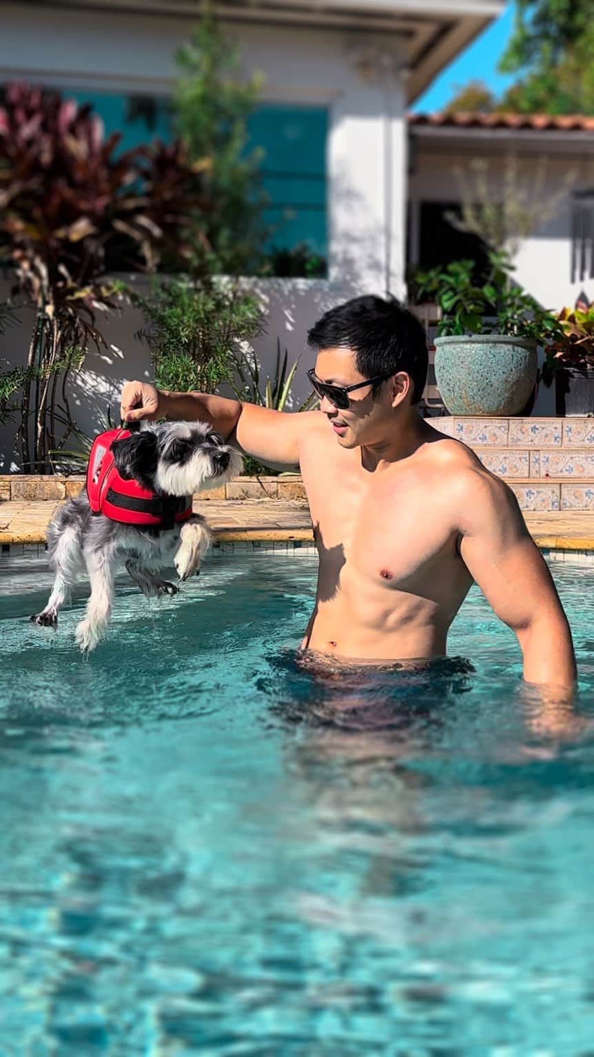 Remix the Dogのインスタグラム：「Practicing my doggy-paddle ☀️   #dogsofinstagram #schnauzer #perro #perrosdeinstagram #cachorro #강아지 #barked #poolday #doglovers #cutedogs」