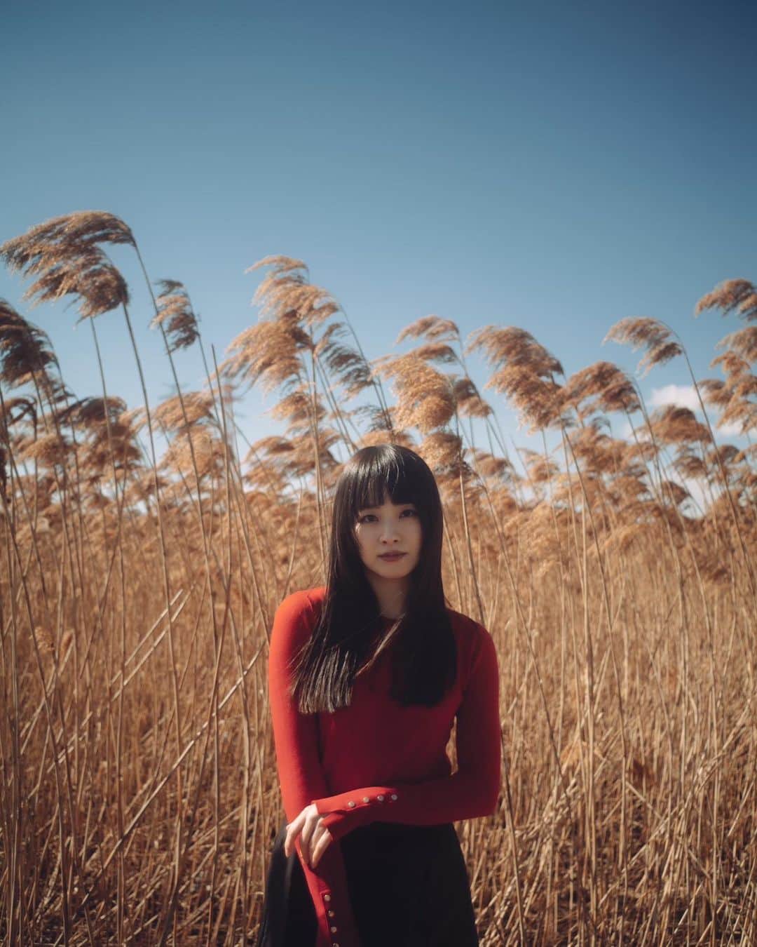 荒井レイラのインスタグラム：「atmosphere」