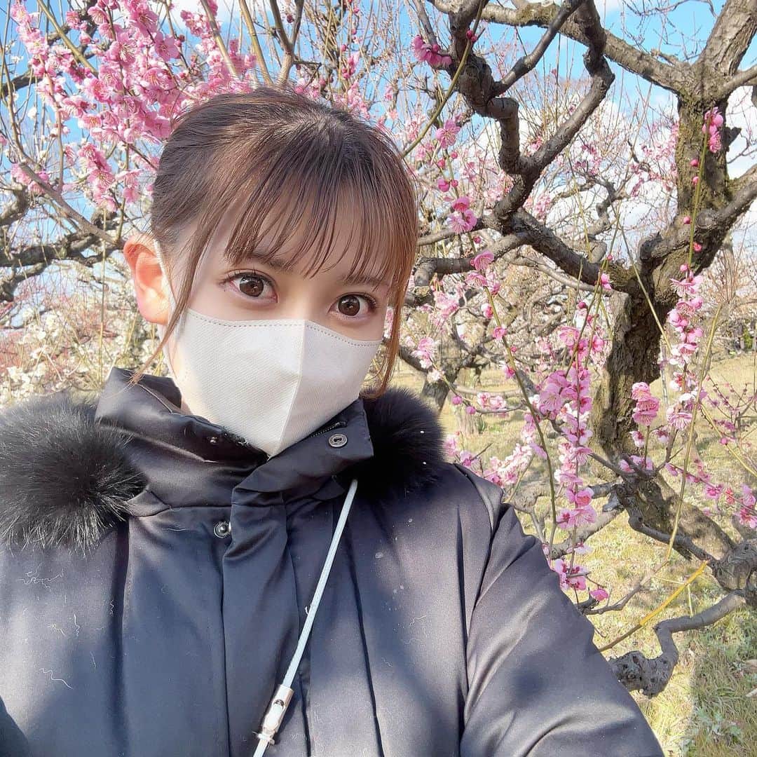 畠山茉央のインスタグラム：「．  梅の季節🌸  濃ゆいピンクがかわいいですね〜！  #梅 #梅林 #大阪城 #大阪城公園 #春」