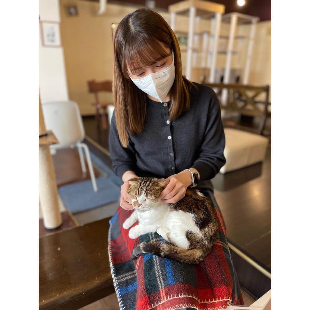 渡辺瑠海さんのインスタグラム写真 - (渡辺瑠海Instagram)「. #猫の日 取材🐈 https://youtu.be/1oib7hksfZI  横浜市にある猫カフェ ミーシスさんを取材しました。 カフェにいる猫は保護猫です。  膝に乗ったりキャットタワーで遊んだりのびのびと過ごす猫たち。 それぞれ異なる環境で生きてきて、このカフェに集まってきました。  飼えなくなった、手放された理由は様々ですが、人間の身勝手な行動に振り回されたということは共通しています。  保護猫のために活動しているイラストレーターのふくしまさんは 「弱い立場の命をどのように守っているかを見れば、その国における命の価値がわかる」という言葉を胸に活動しているとお話ししてくださいました。  弱い立場の命をどう救うのか、ひとりひとりが改めて考えるきっかけになることを願います。  #報道ステーション」2月26日 11時51分 - rumi_watanabe_ex