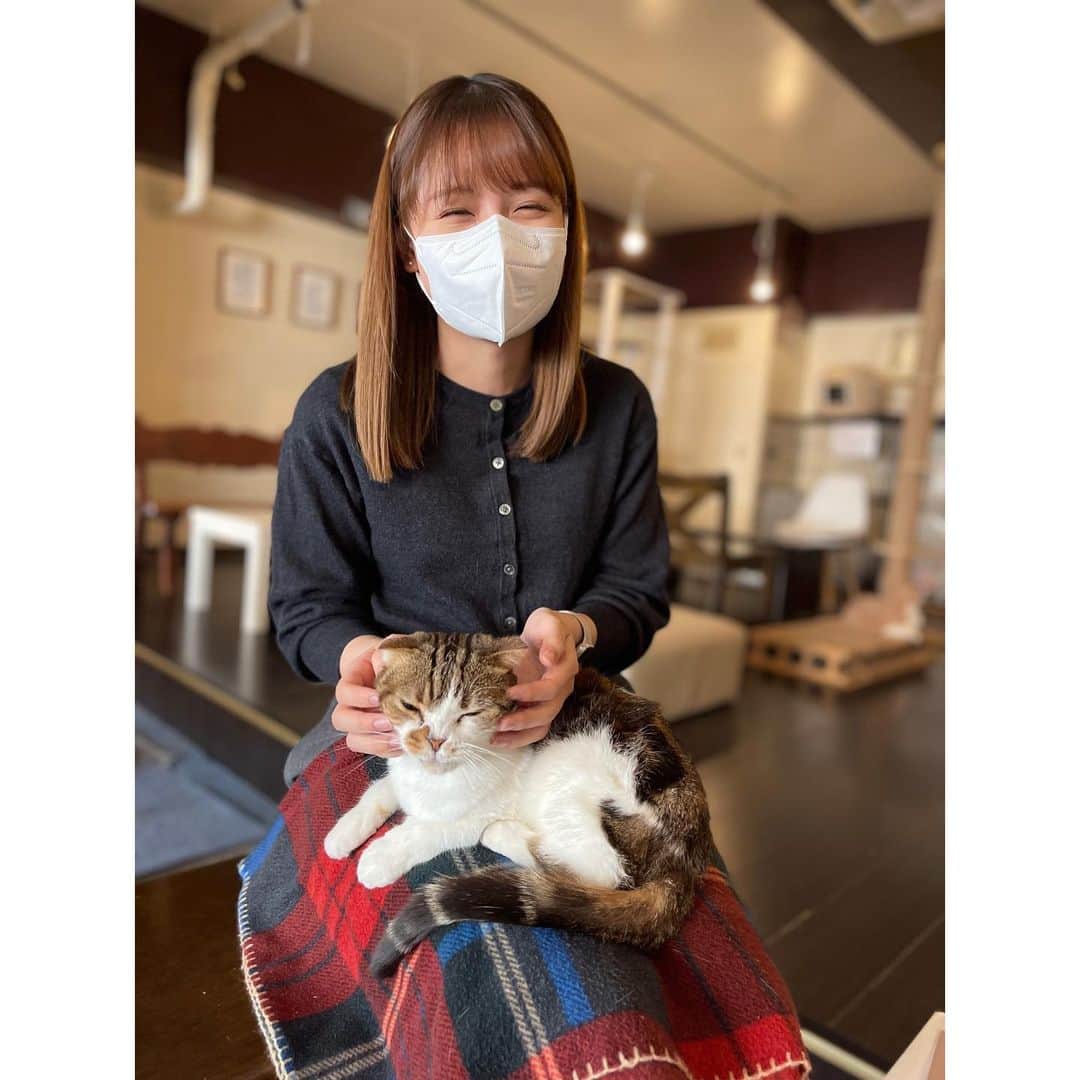 渡辺瑠海さんのインスタグラム写真 - (渡辺瑠海Instagram)「. #猫の日 取材🐈 https://youtu.be/1oib7hksfZI  横浜市にある猫カフェ ミーシスさんを取材しました。 カフェにいる猫は保護猫です。  膝に乗ったりキャットタワーで遊んだりのびのびと過ごす猫たち。 それぞれ異なる環境で生きてきて、このカフェに集まってきました。  飼えなくなった、手放された理由は様々ですが、人間の身勝手な行動に振り回されたということは共通しています。  保護猫のために活動しているイラストレーターのふくしまさんは 「弱い立場の命をどのように守っているかを見れば、その国における命の価値がわかる」という言葉を胸に活動しているとお話ししてくださいました。  弱い立場の命をどう救うのか、ひとりひとりが改めて考えるきっかけになることを願います。  #報道ステーション」2月26日 11時51分 - rumi_watanabe_ex