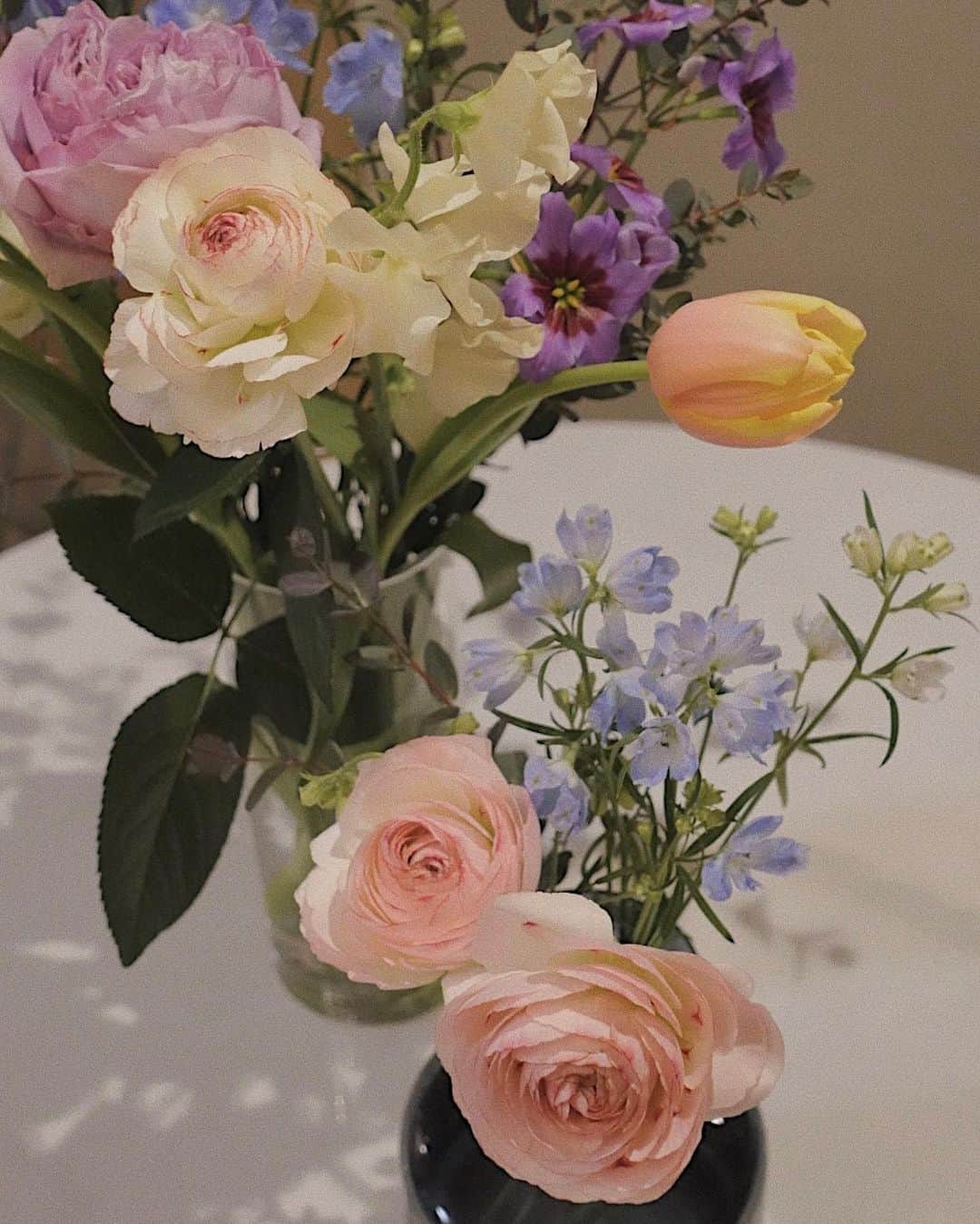 留奥麻依子さんのインスタグラム写真 - (留奥麻依子Instagram)「𝑐𝑜𝑙𝑜𝑟𝑠🍀🕊 最近は自分の可愛い！好き！のインスピレーションに任せて好きなお花を選んでお家で飾るのが好き。 今はカラフルな気分みたいです🌷 #flowers」2月26日 12時00分 - _emu0205_