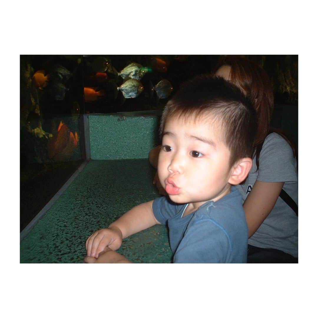 大地伸永さんのインスタグラム写真 - (大地伸永Instagram)「本日、22歳になりましたーー！！  色々な出会い、経験、ありましたが 全てに感謝です🙇‍♂️  新たな一歩を踏み出せるよう頑張ります🫰  ちっちゃい頃の写真、あげときます🤓」2月26日 12時12分 - nobunaga_daichi