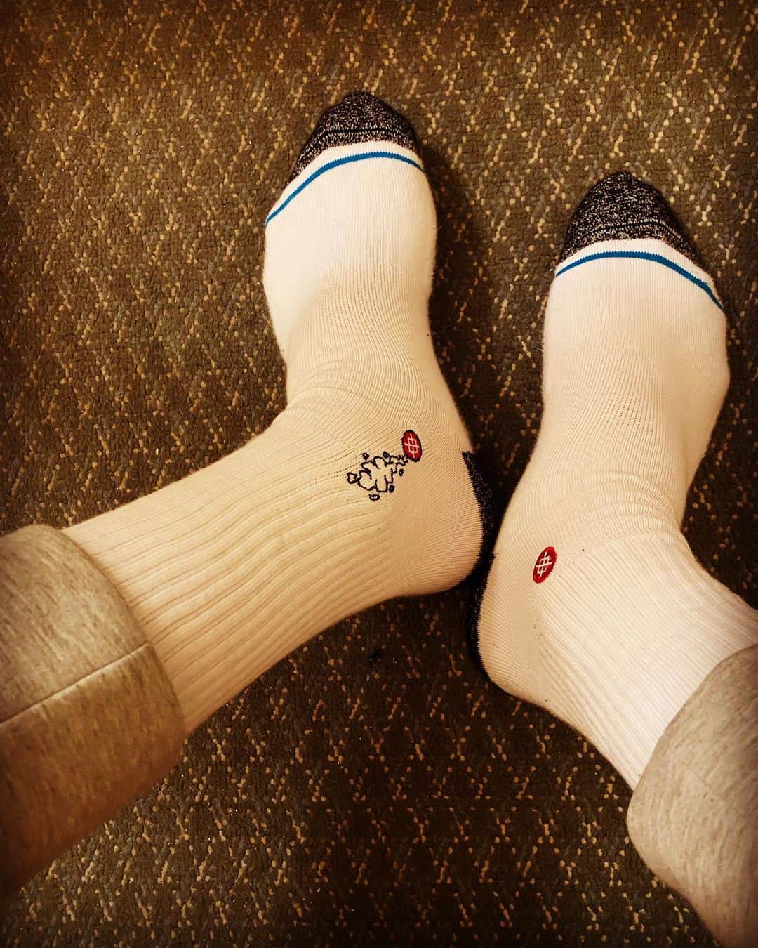 眞庭城聖のインスタグラム：「今回試合でも着用🧦履き心地良きでした👍 スケボー🛹でもバスケ🏀でも🙌  #stance #stancesocks #kader #skateboard #basketball #street #ありきたりはつまらない」