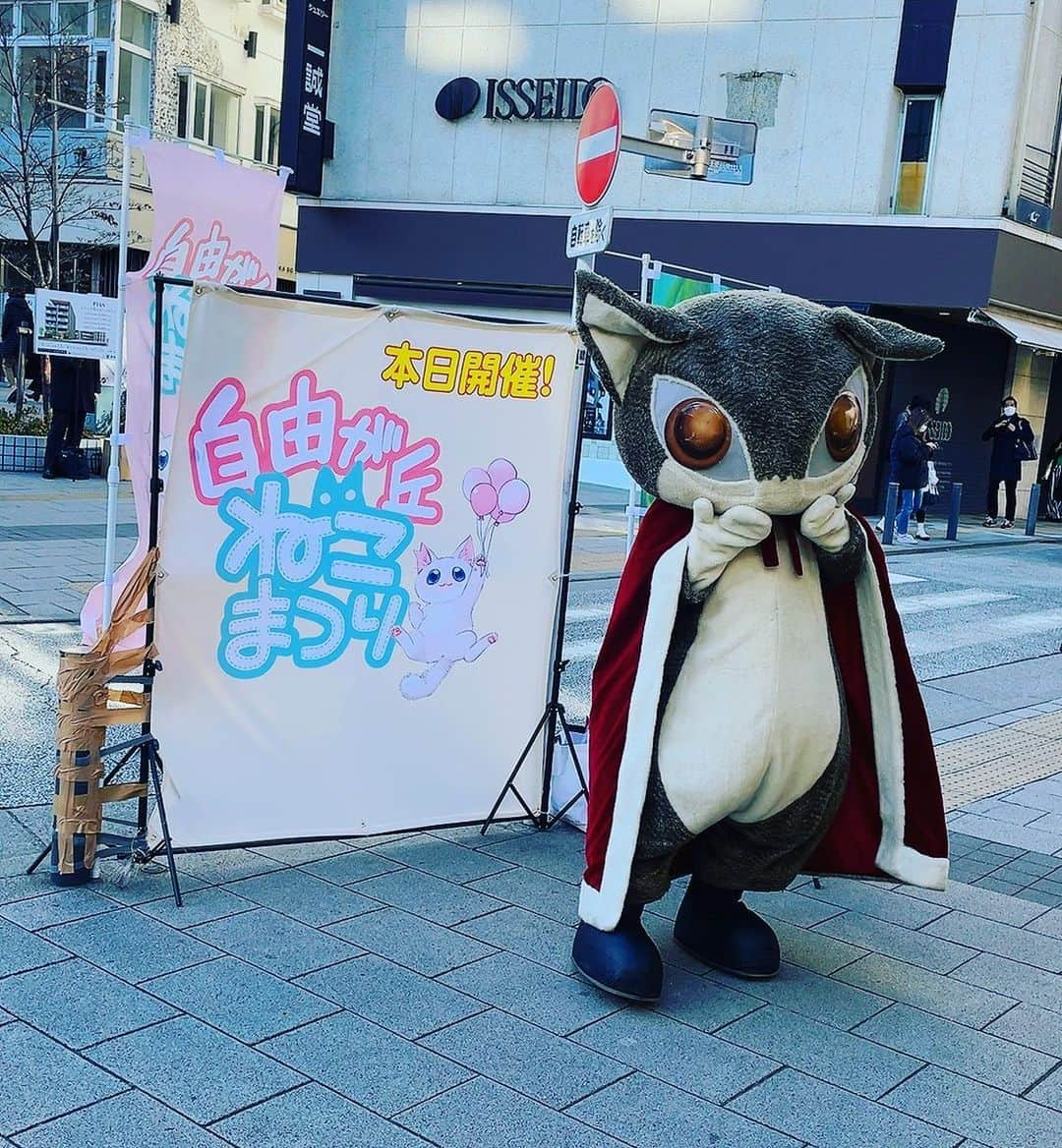 み～こさんのインスタグラム写真 - (み～こInstagram)「自由が丘ねこまつり 行ってきました！ ねこグッズや自作コーナーもあって楽しかった♥ ダヤンにも会えたよーー！！  #自由が丘ねこまつり #わちふぃーるど  #ダヤン」2月26日 16時19分 - miko2